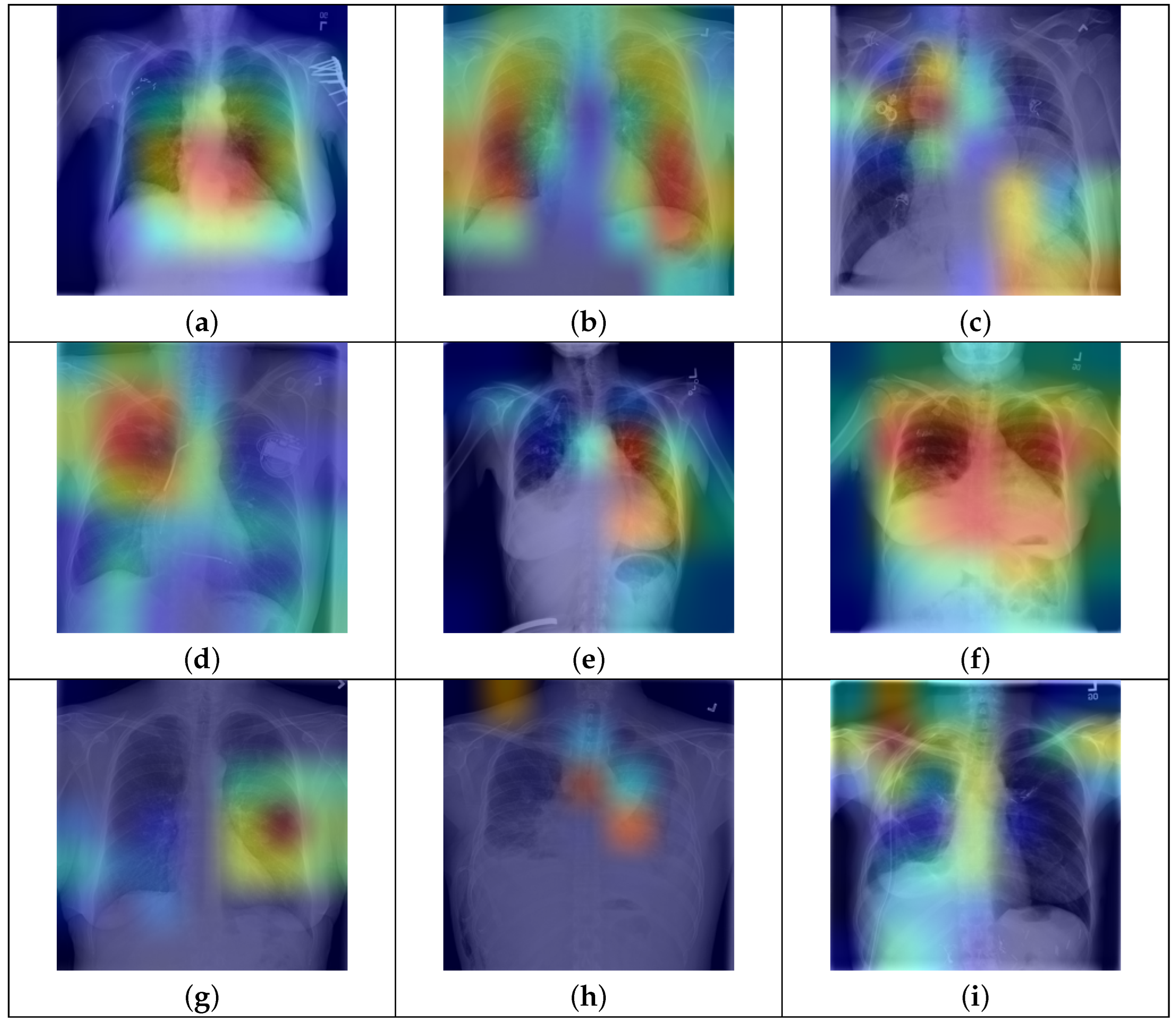 Bioengineering 12 00593 g007