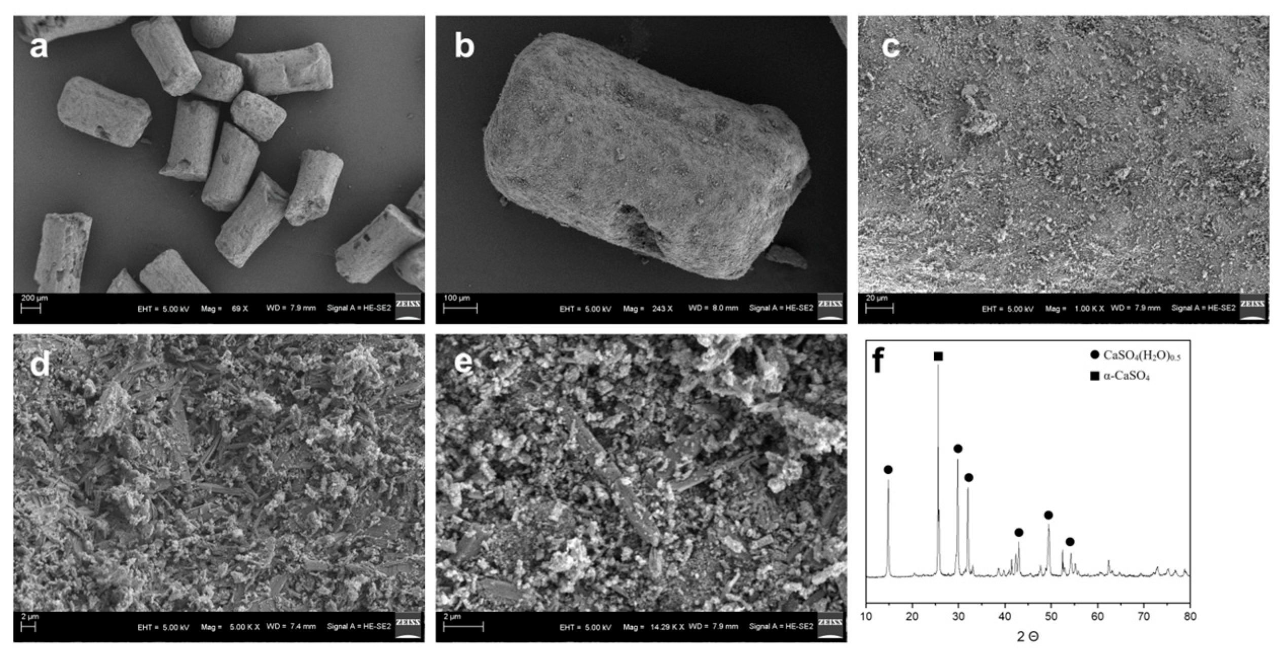 Bioengineering 12 00599 g001