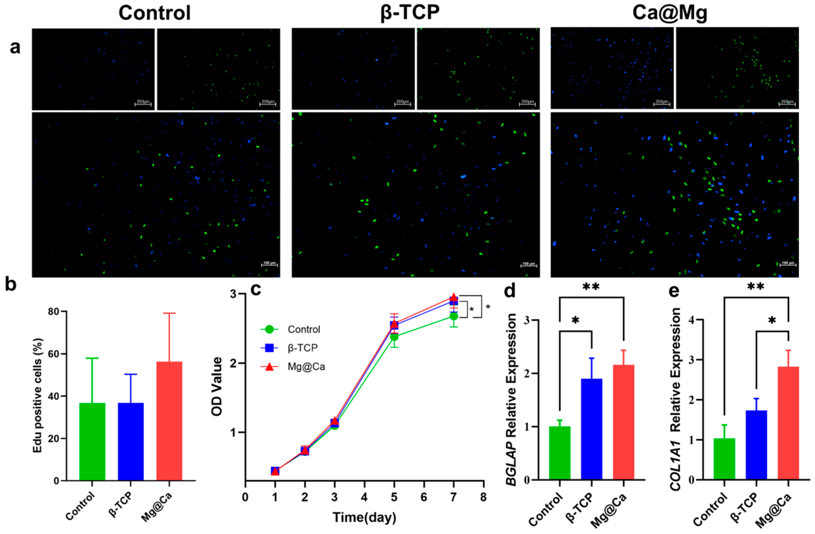 Bioengineering 12 00599 g002