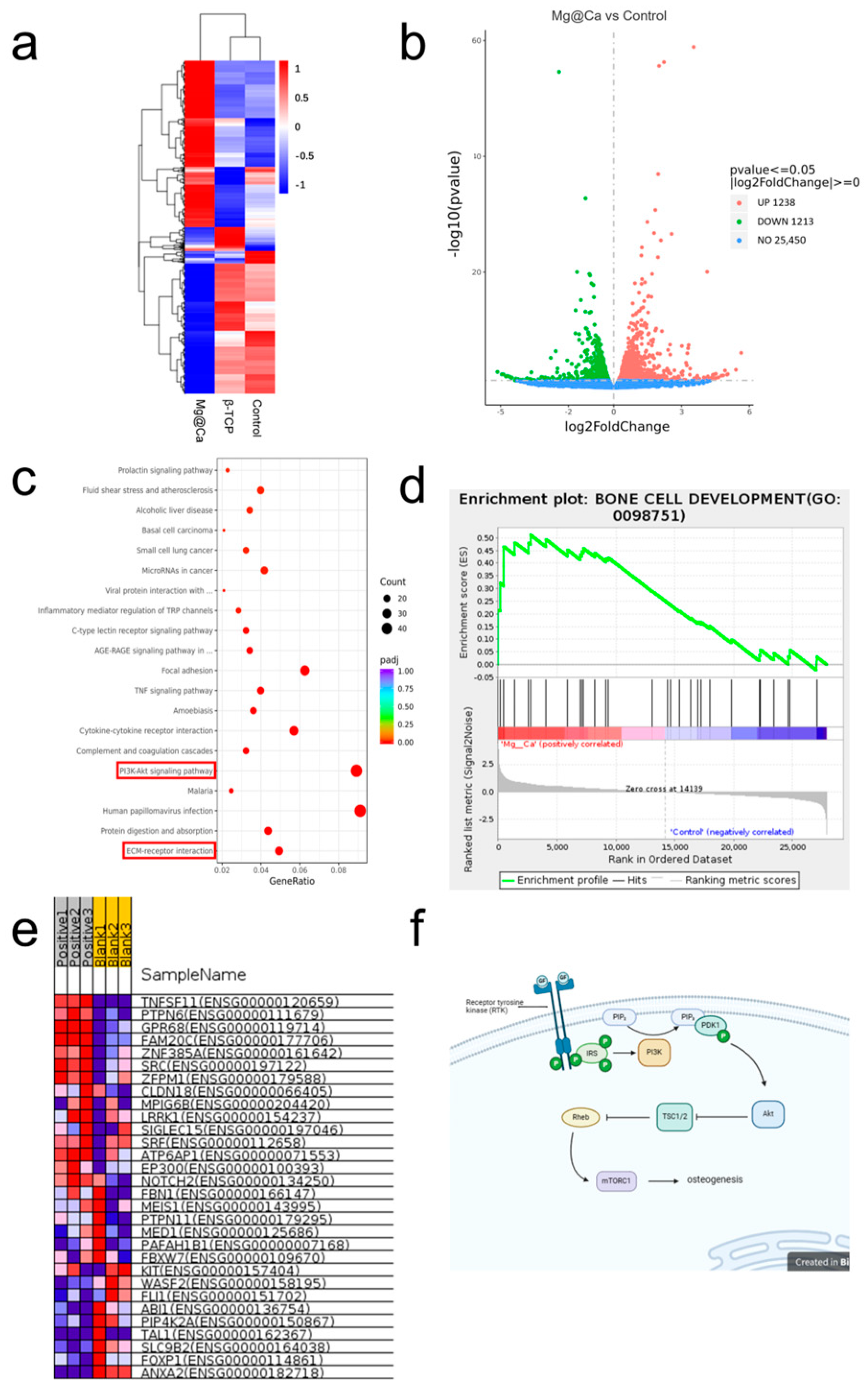 Bioengineering 12 00599 g003