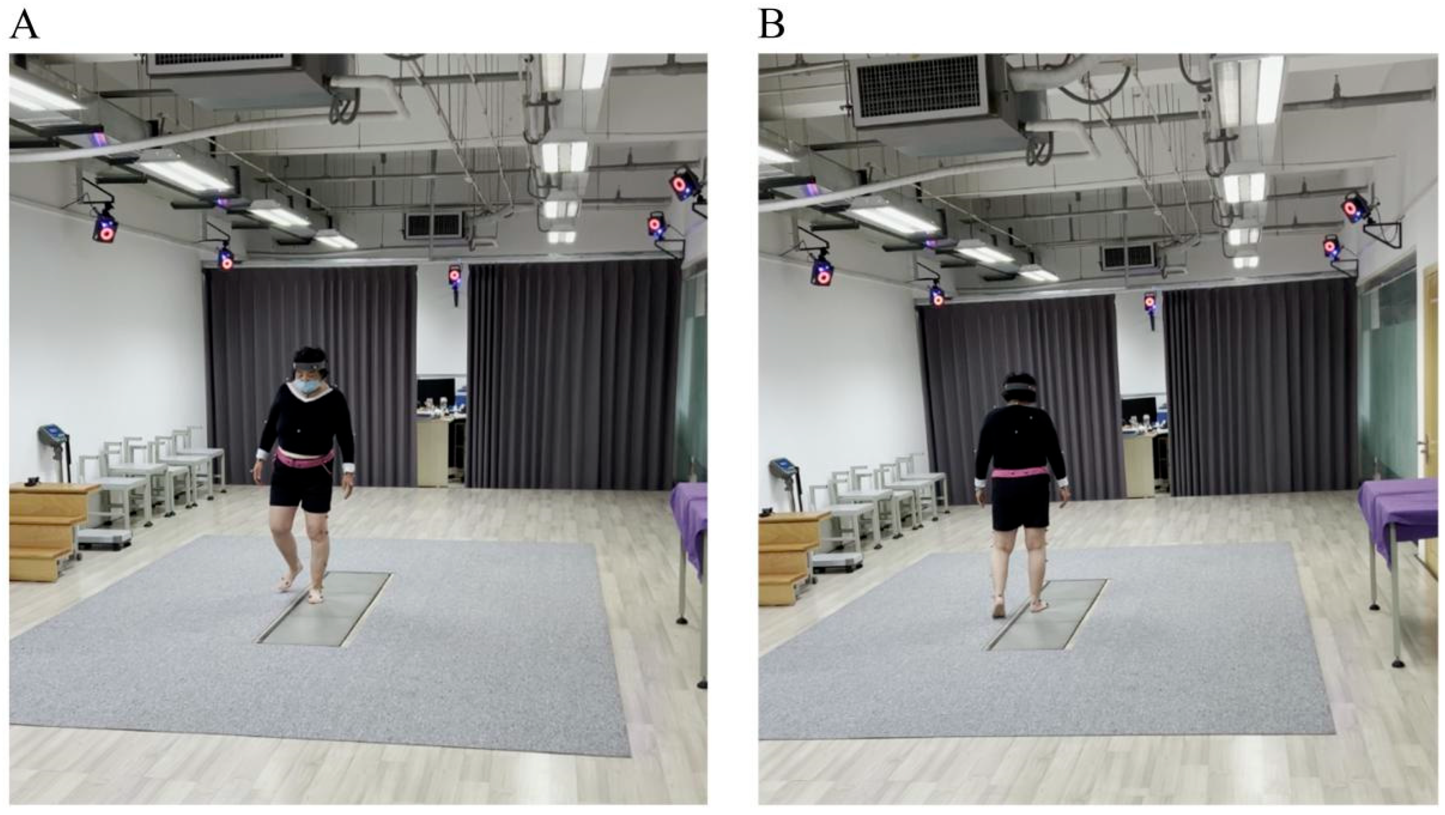 Bioengineering 12 00600 g001