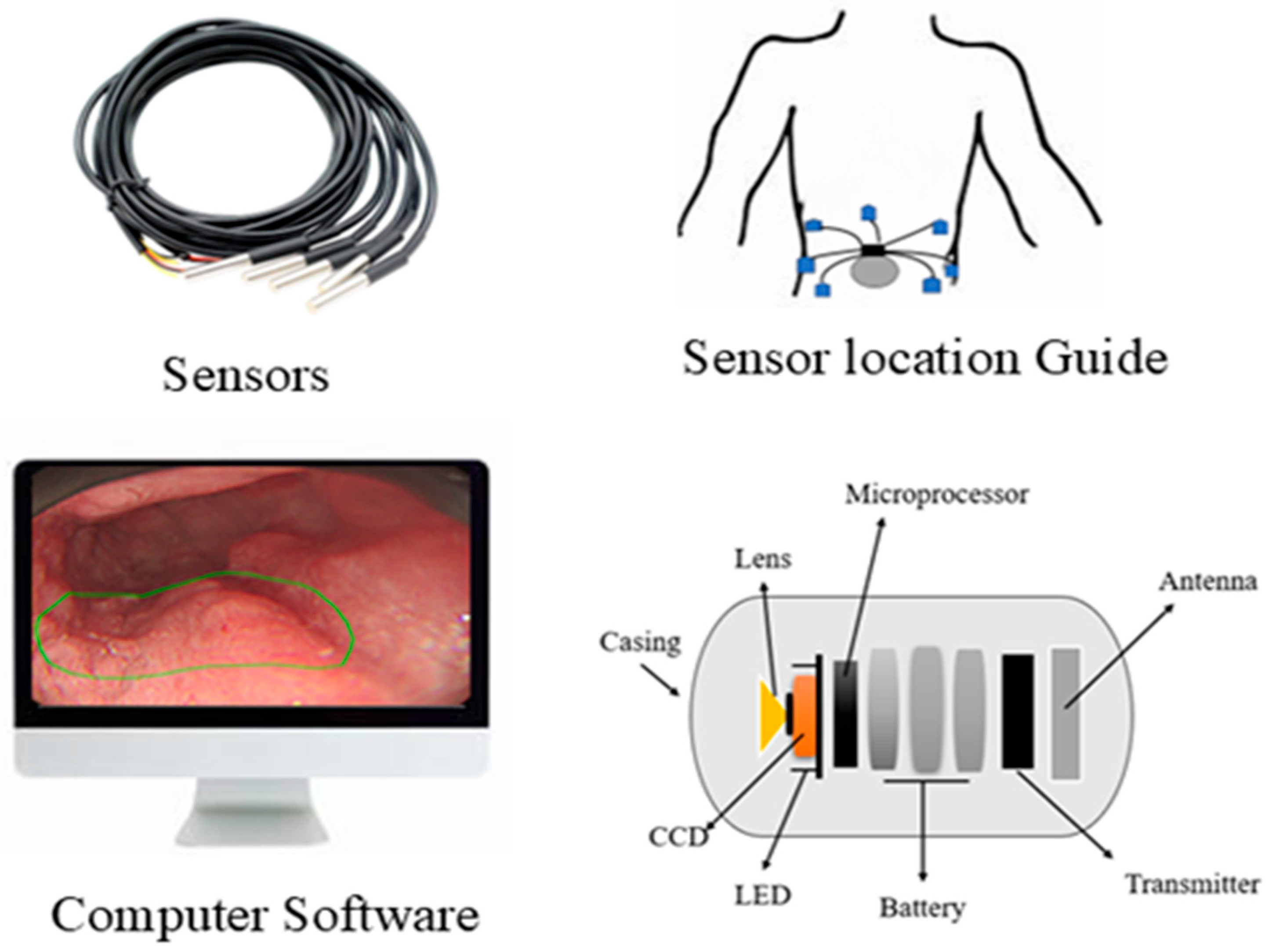 Bioengineering 12 00613 g002