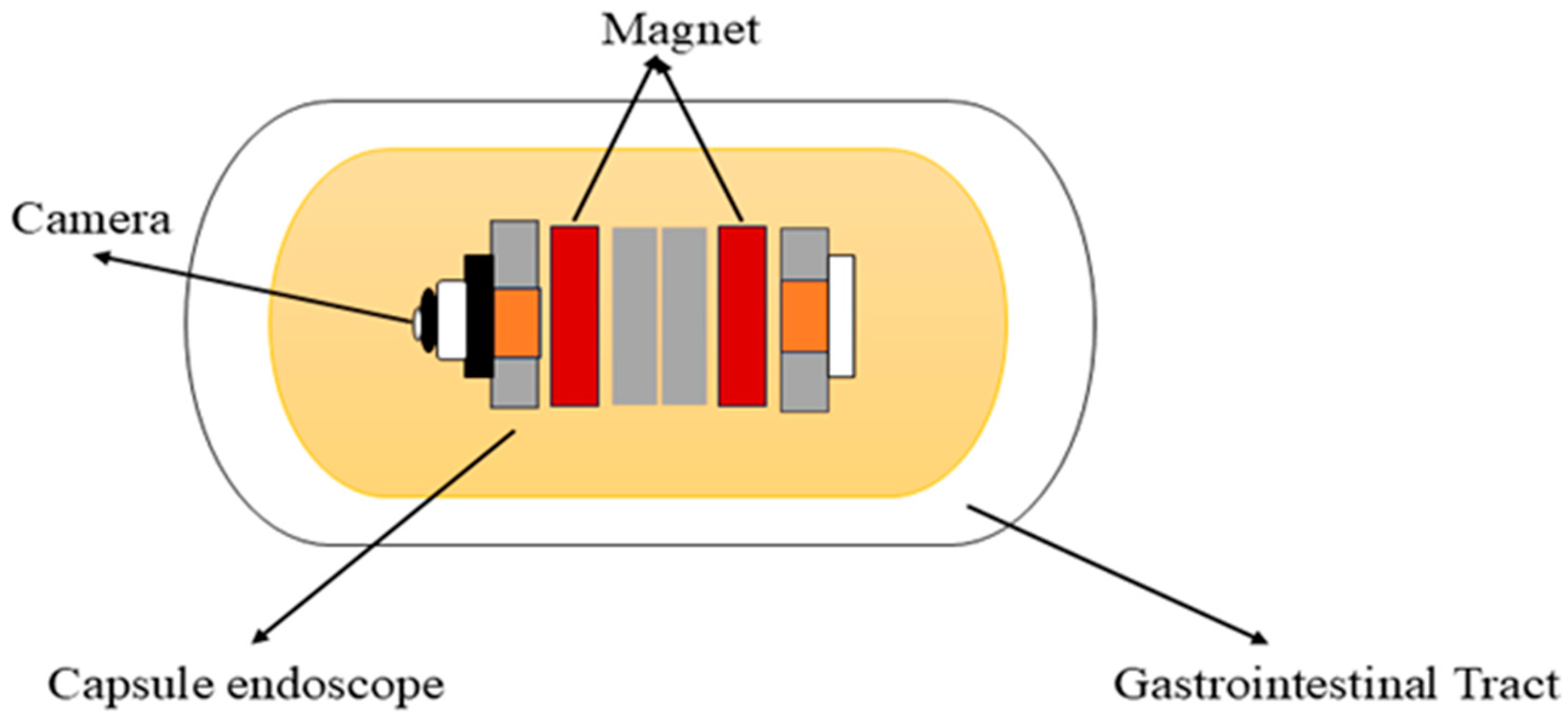 Bioengineering 12 00613 g003