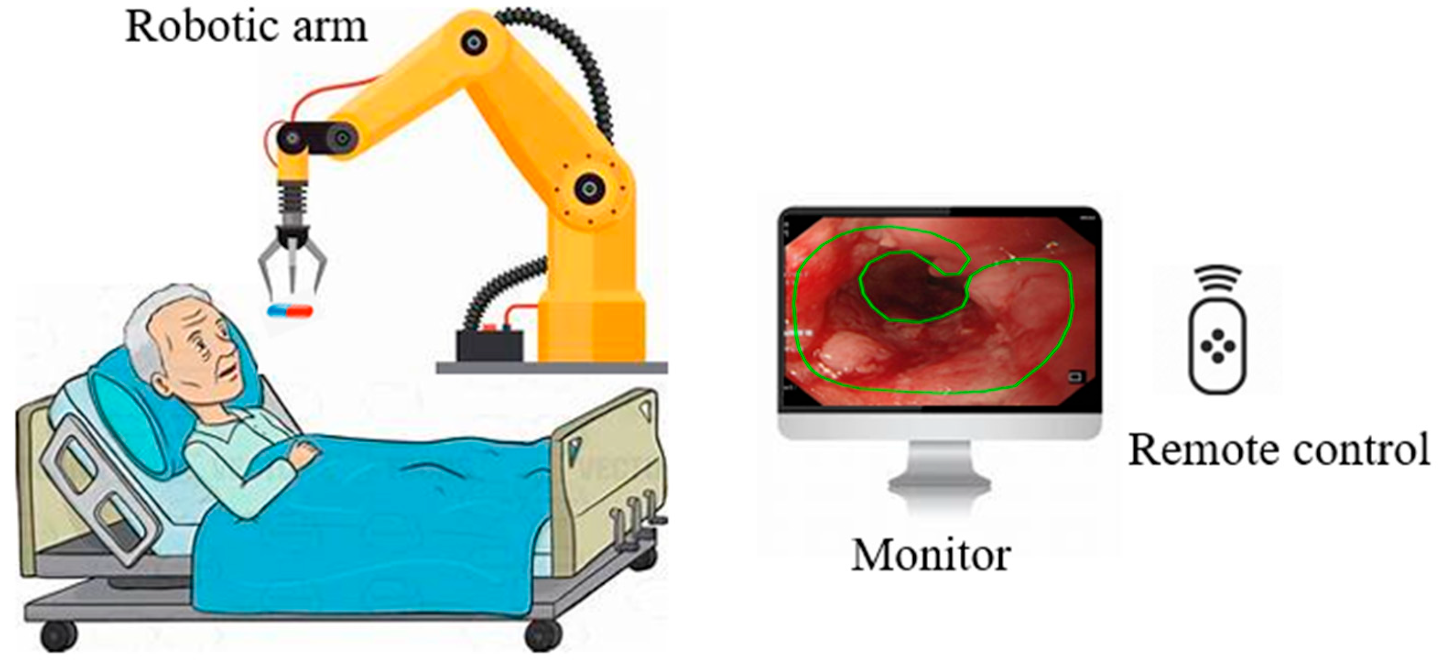 Bioengineering 12 00613 g004