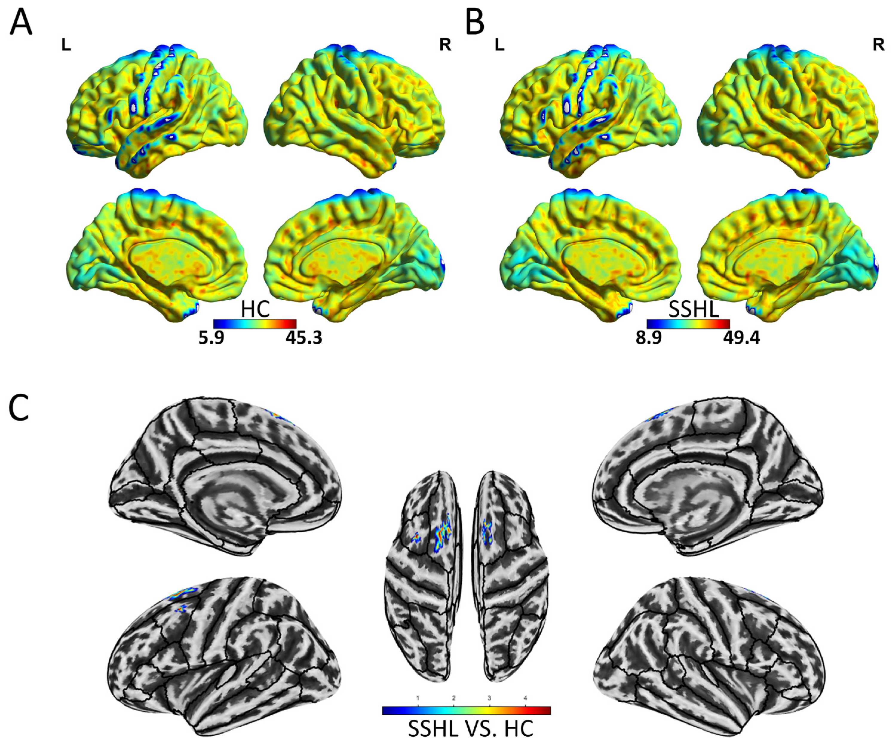 Bioengineering 12 00619 g003