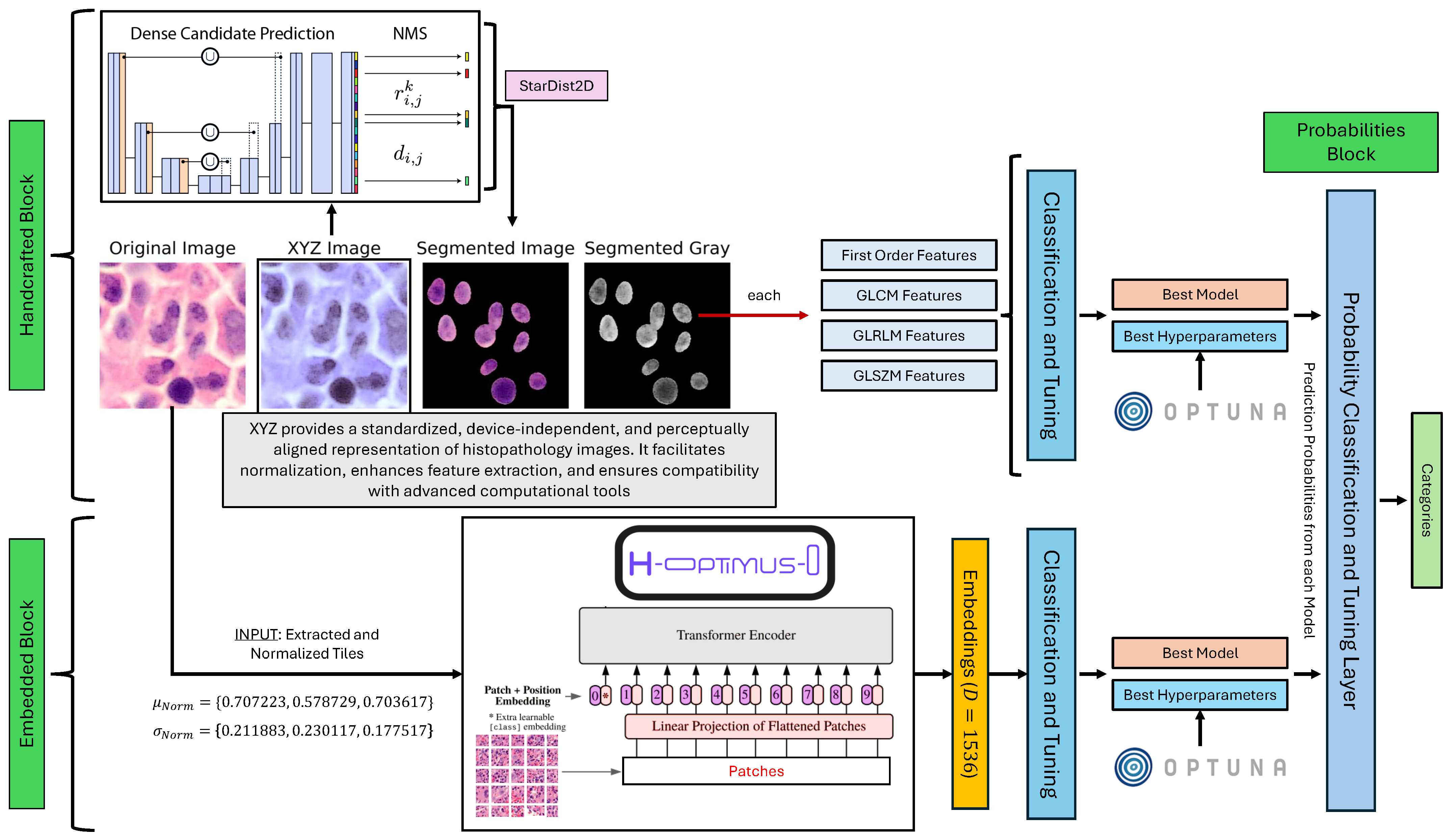 Bioengineering 12 00623 g002