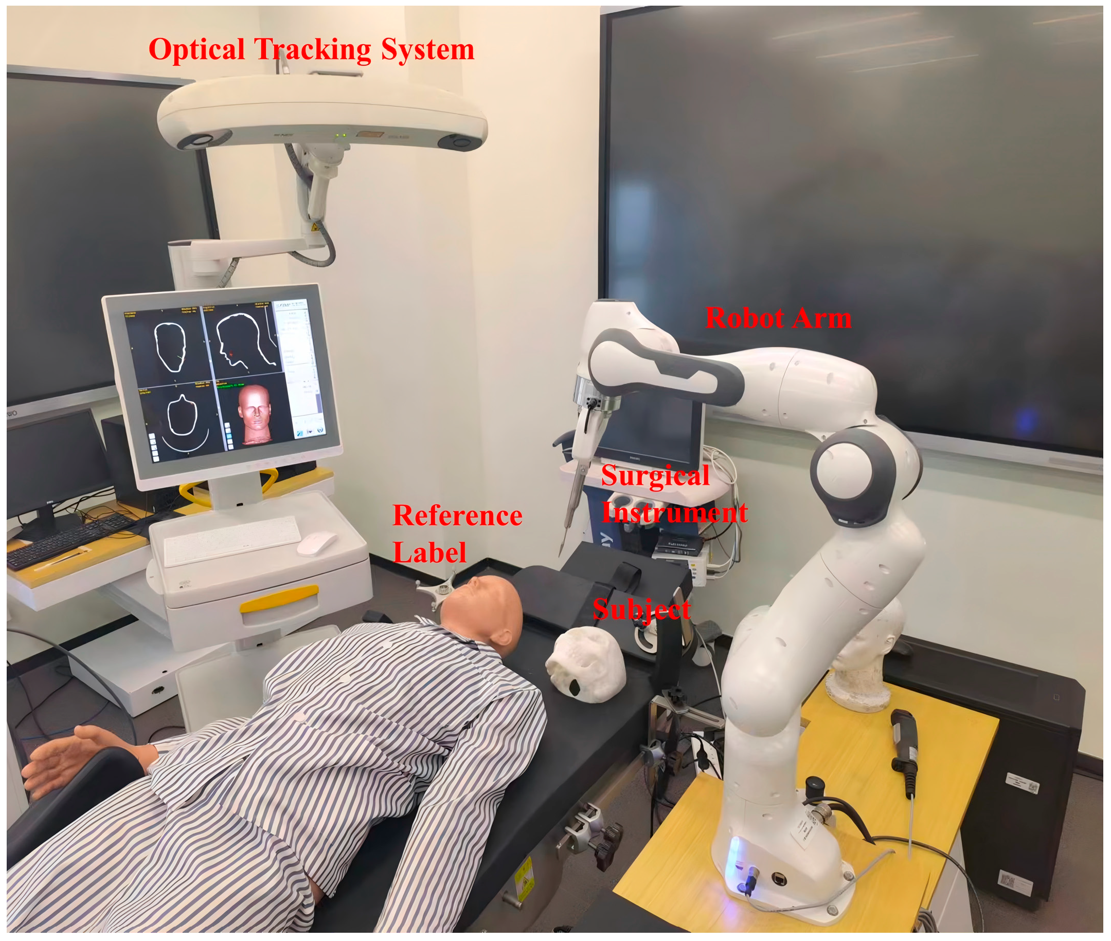Bioengineering 12 00629 g004