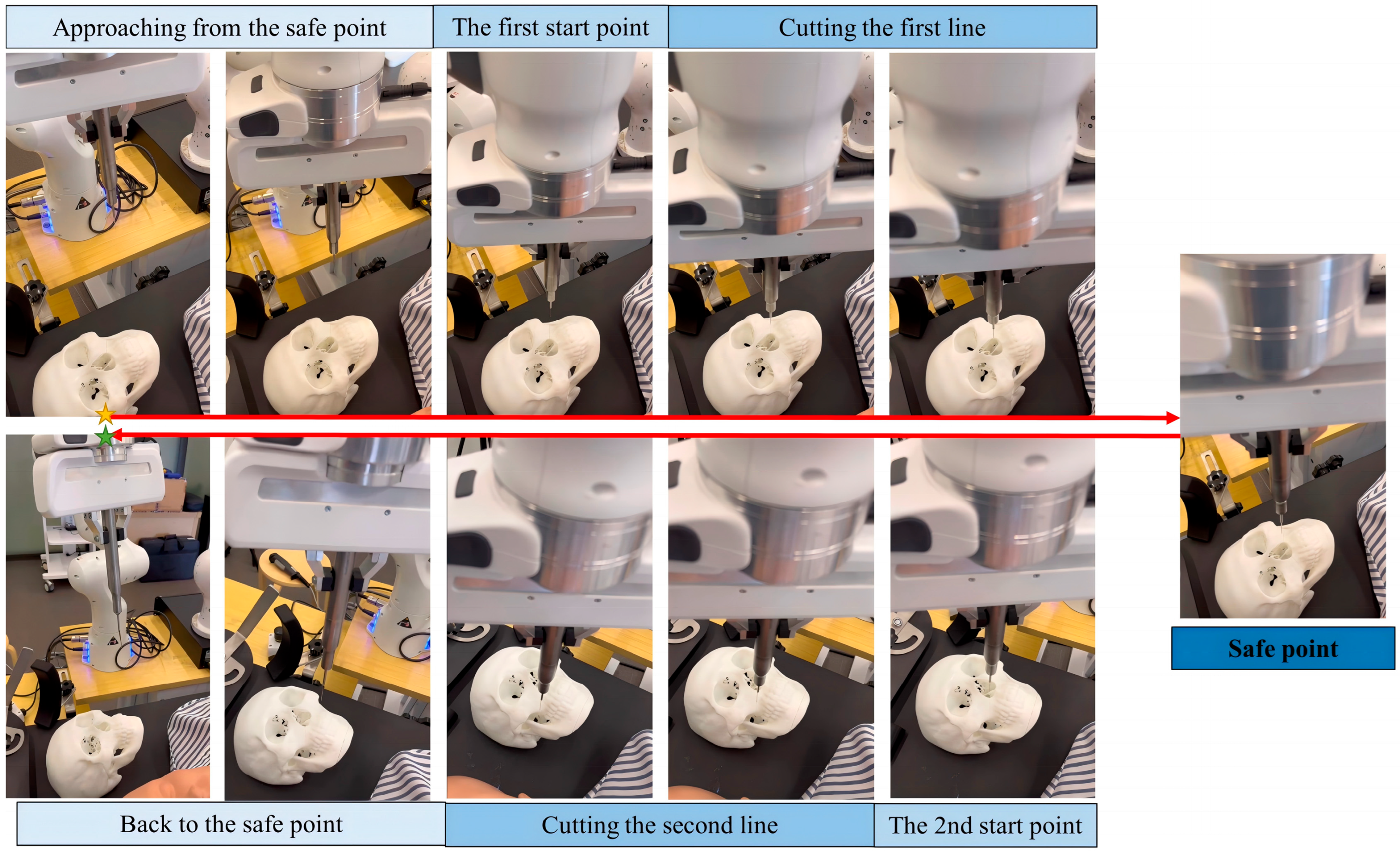 Bioengineering 12 00629 g008