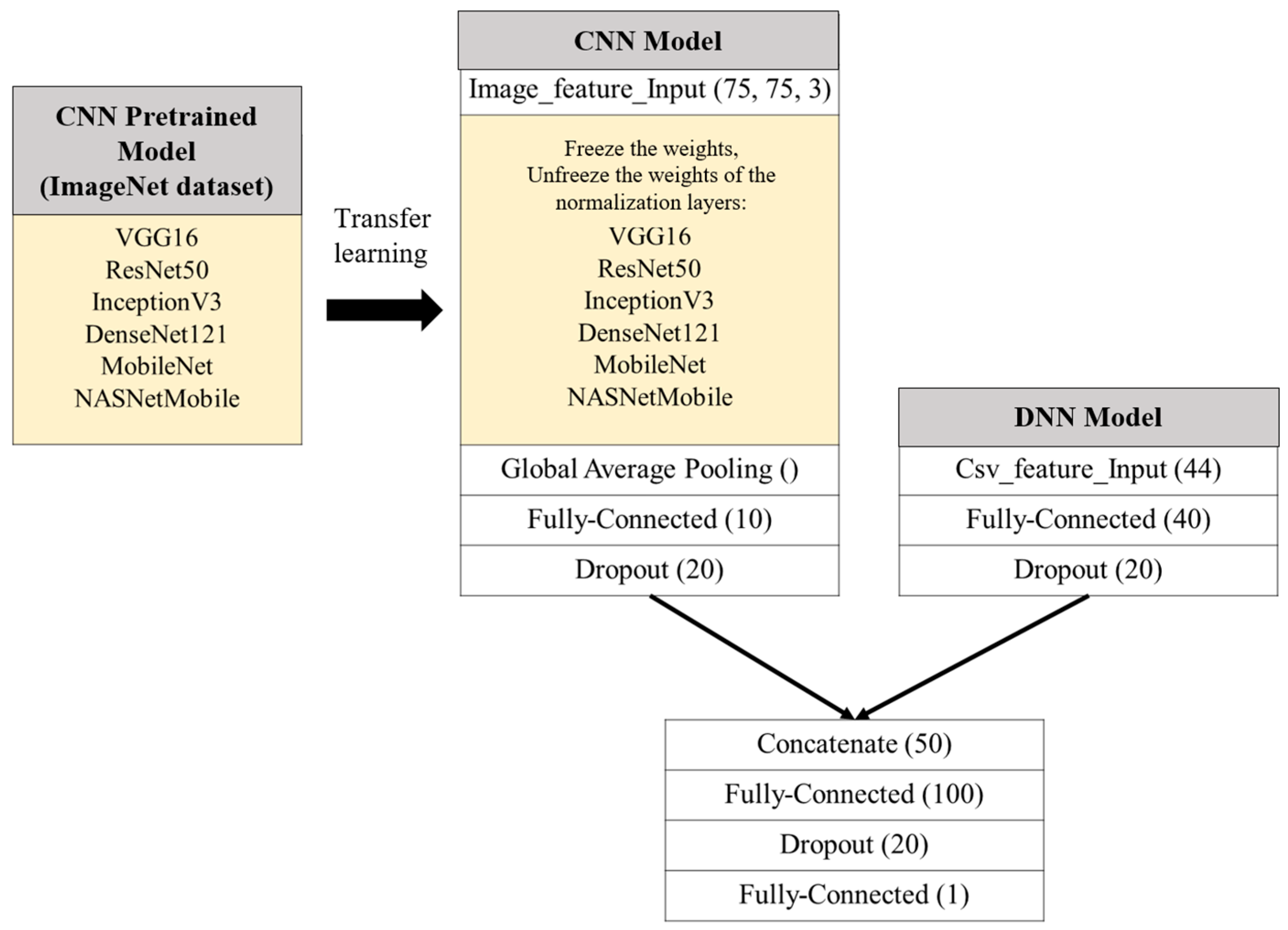 Bioengineering 12 00640 g005