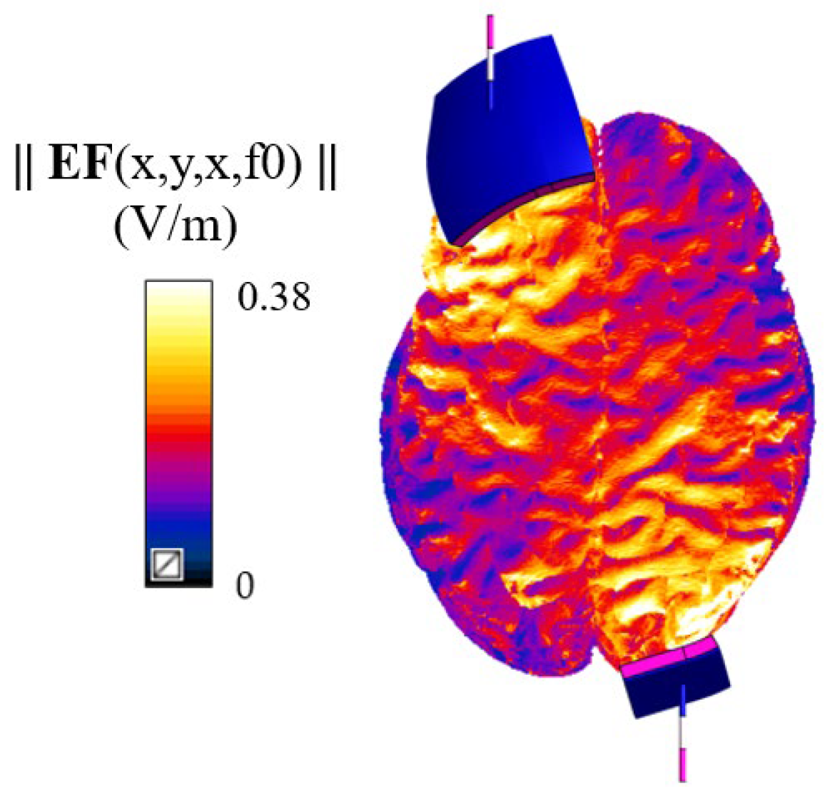 Bioengineering 12 00656 g002