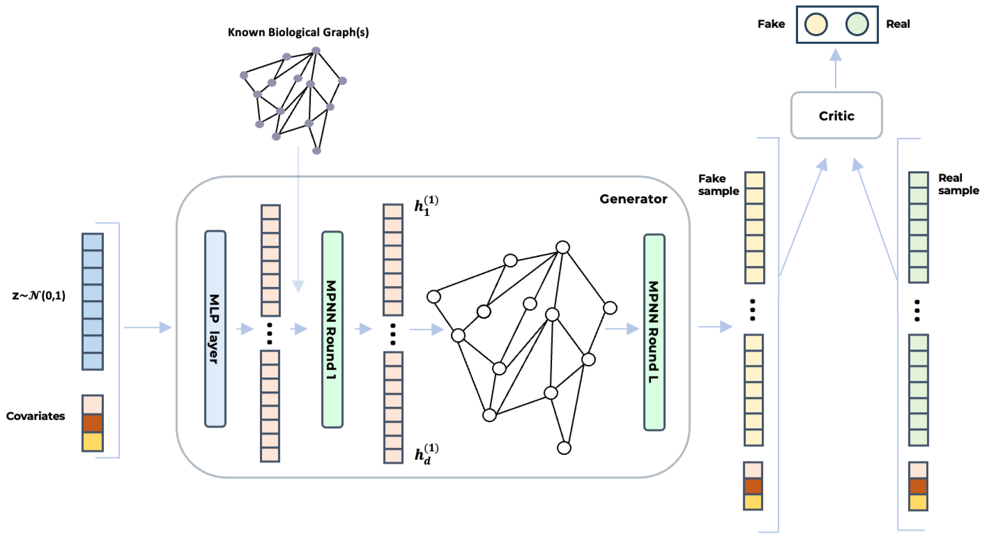 Bioengineering 12 00658 g001