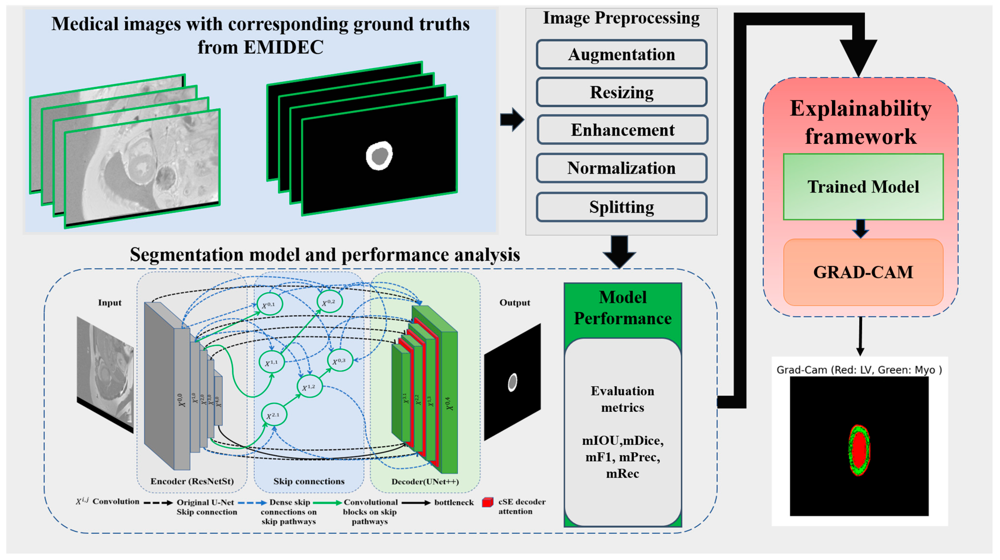 Bioengineering 12 00665 g001