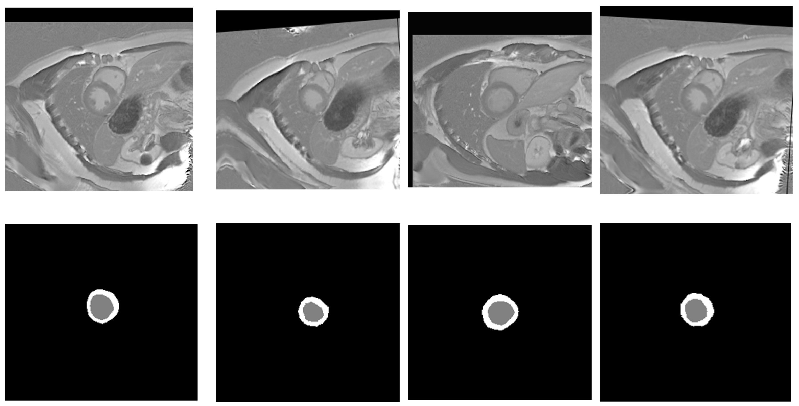 Bioengineering 12 00665 g003