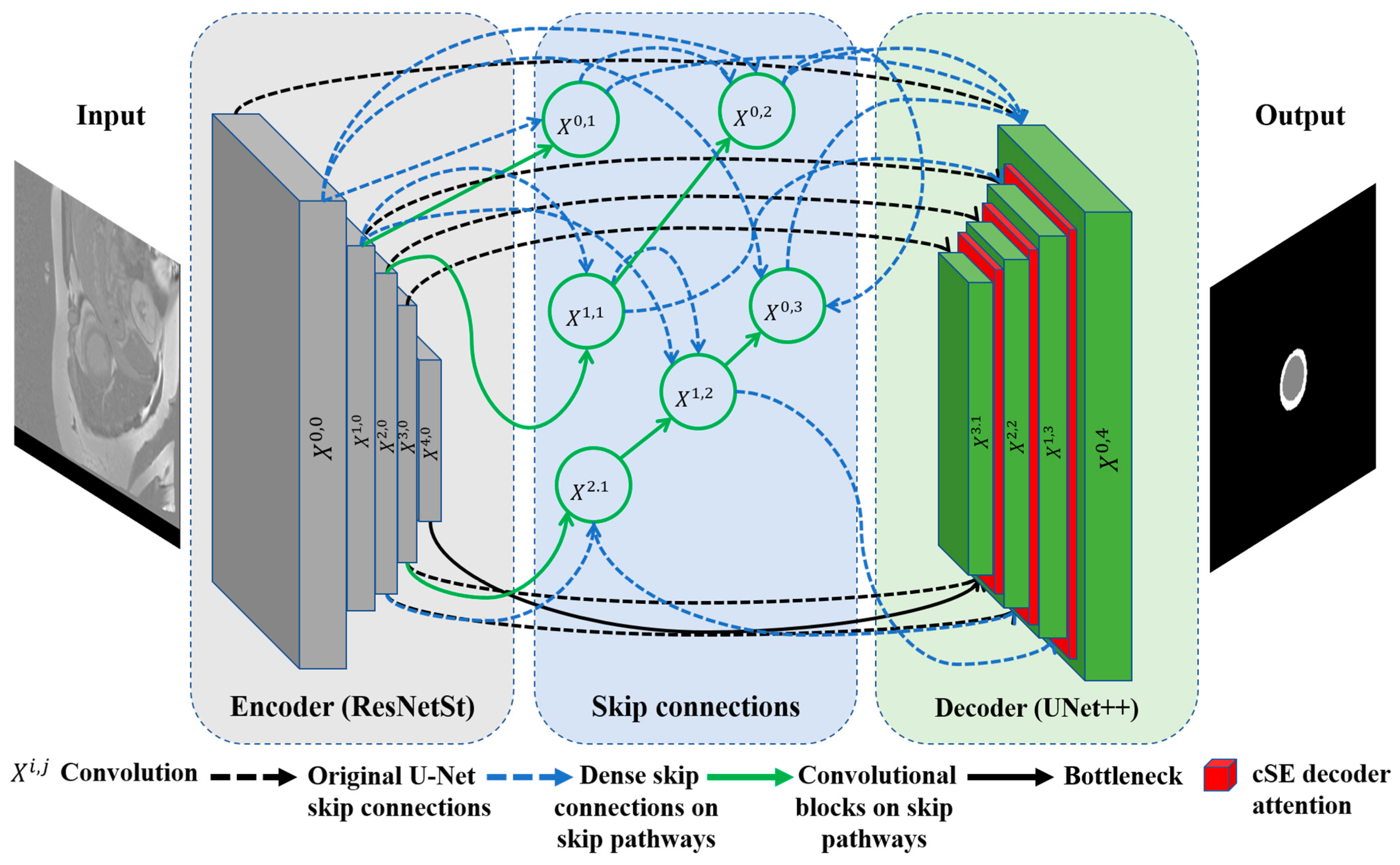 Bioengineering 12 00665 g004