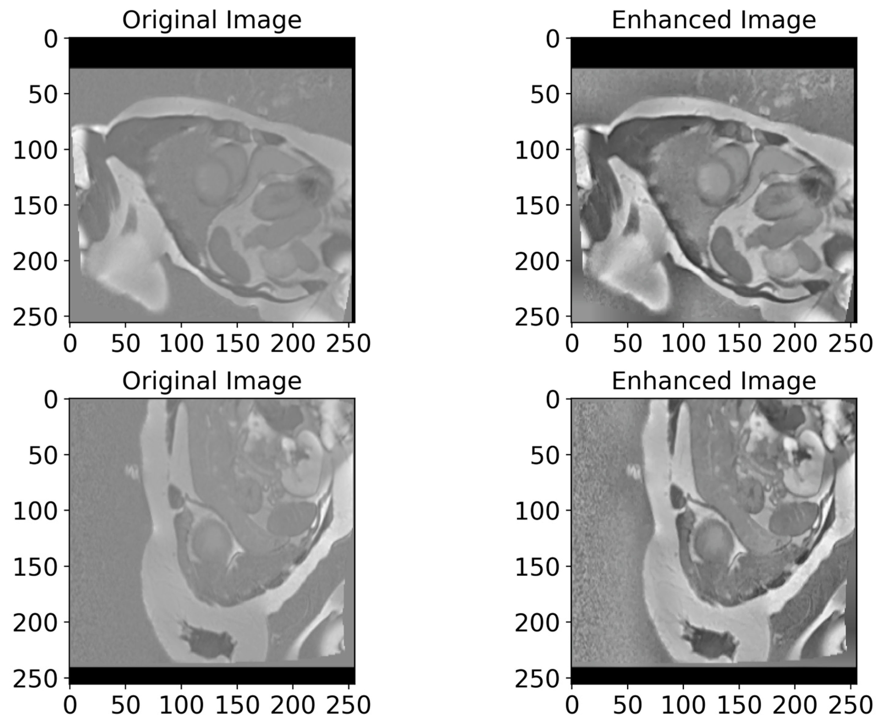 Bioengineering 12 00665 g006