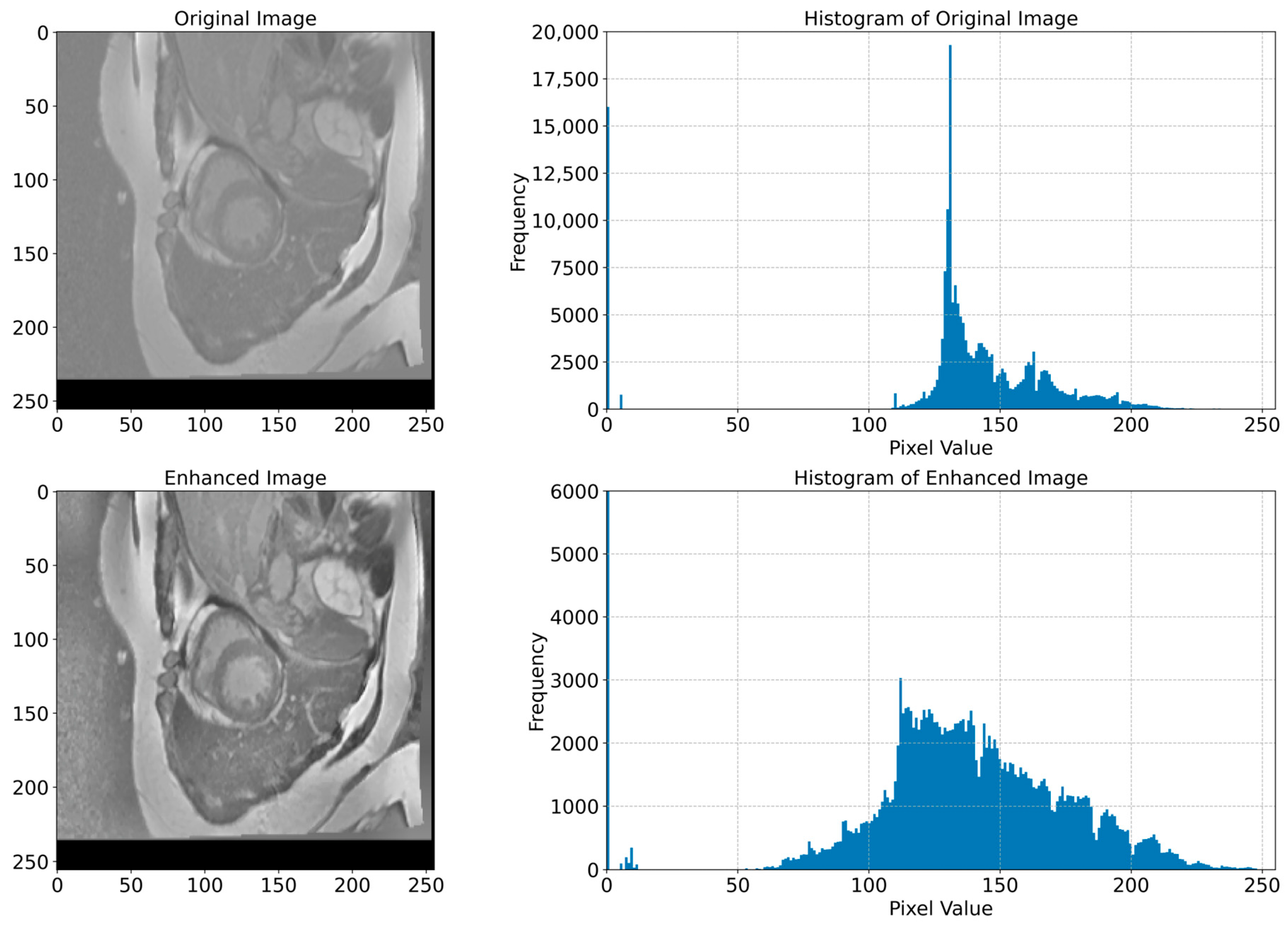 Bioengineering 12 00665 g007