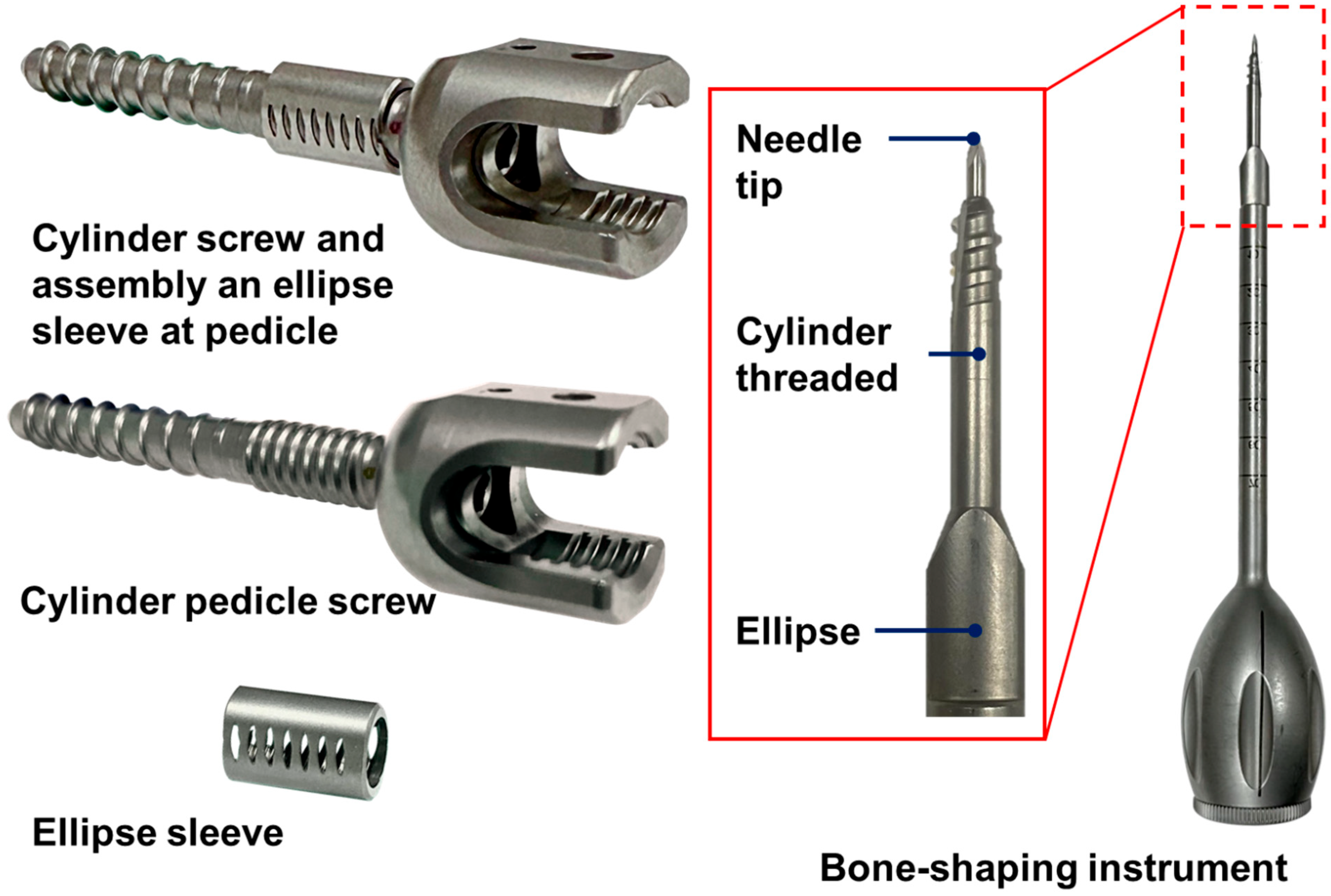 Bioengineering 12 00668 g004