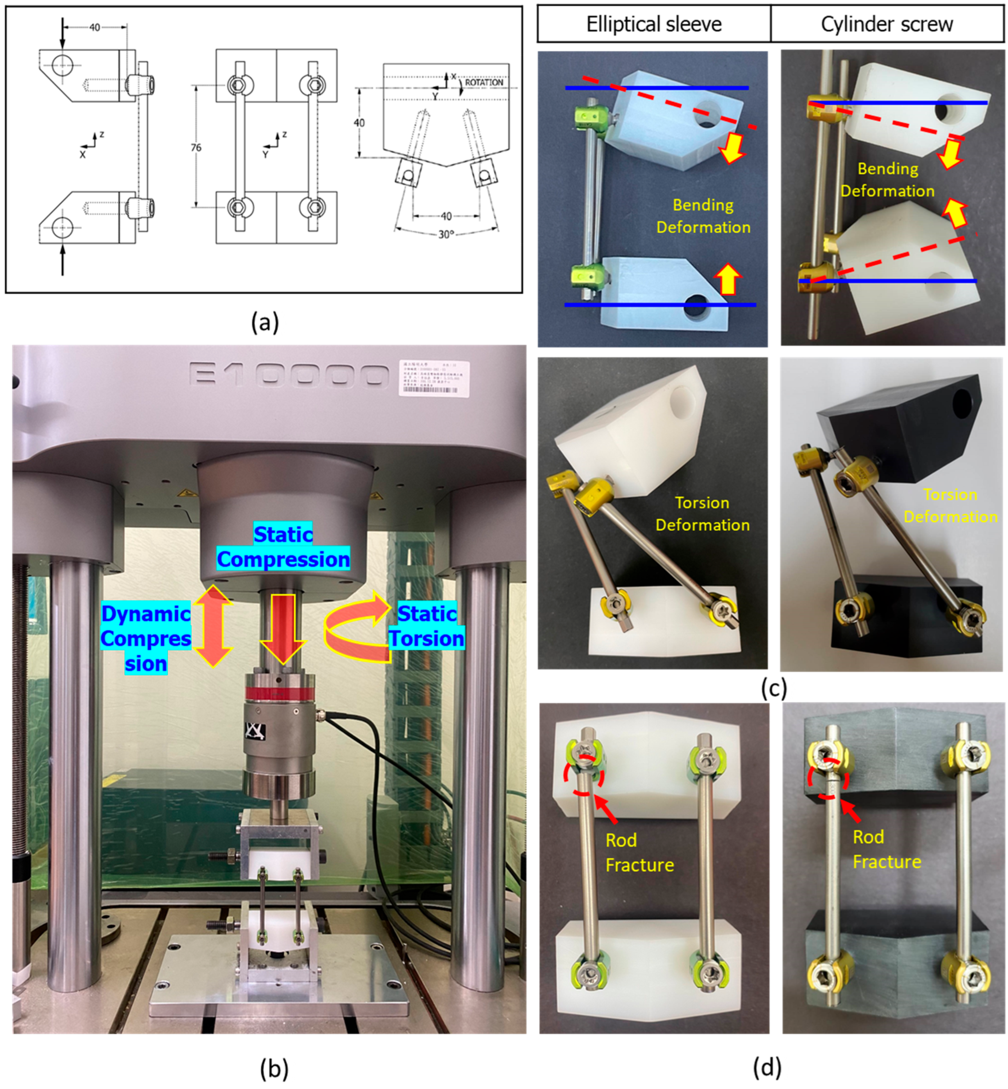 Bioengineering 12 00668 g006