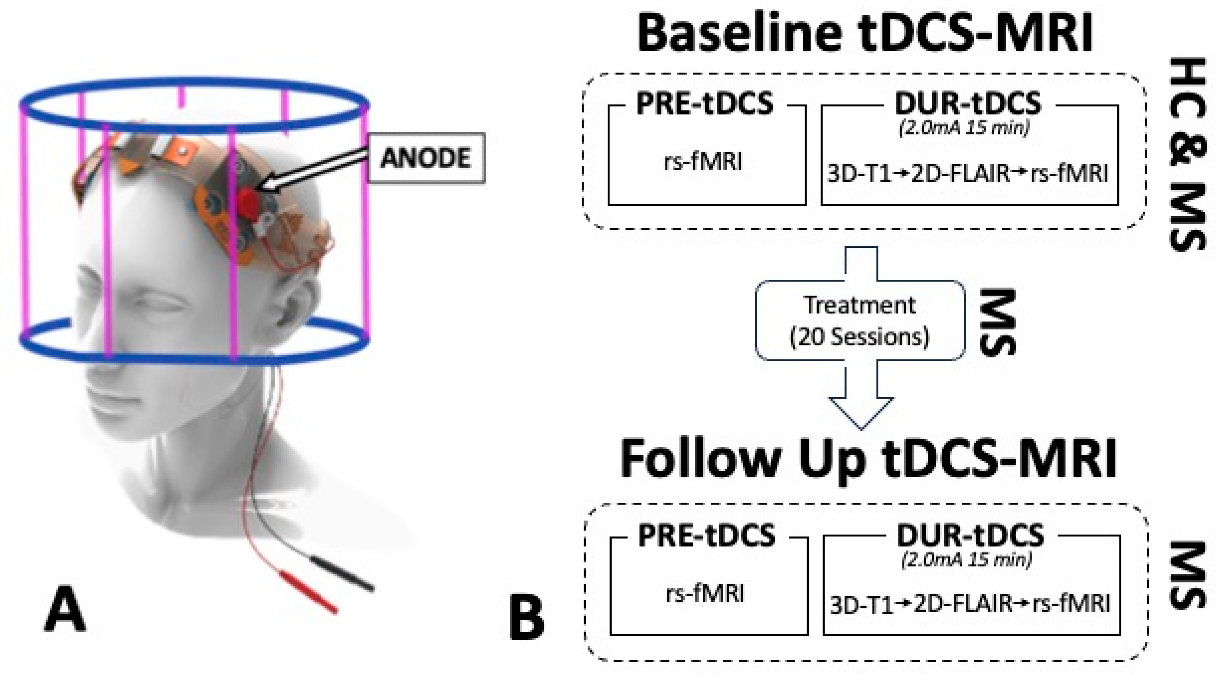Bioengineering 12 00672 g001