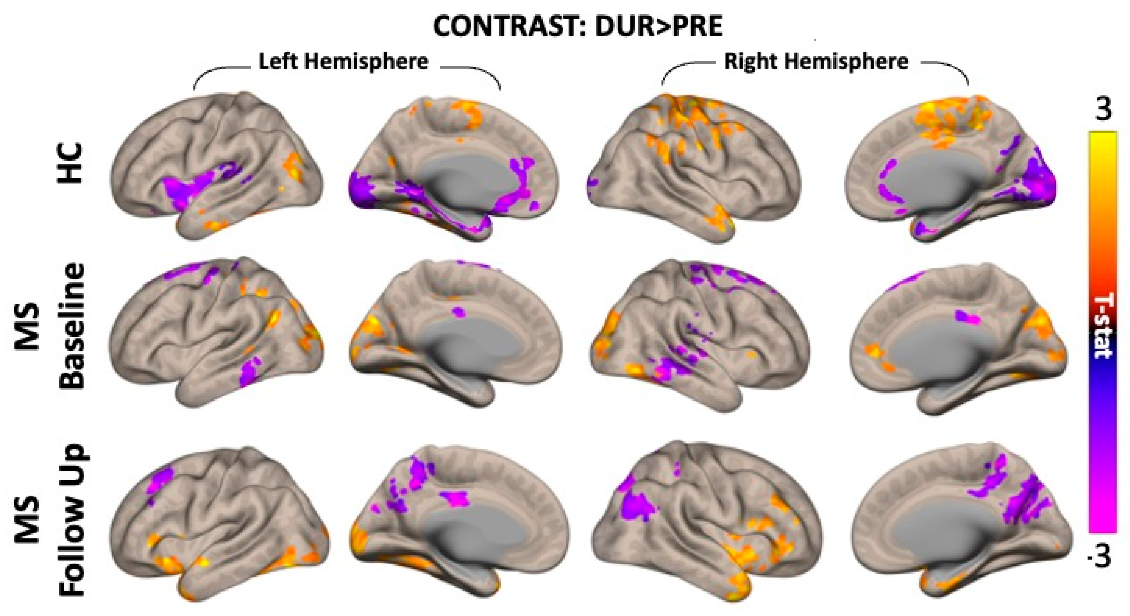 Bioengineering 12 00672 g003