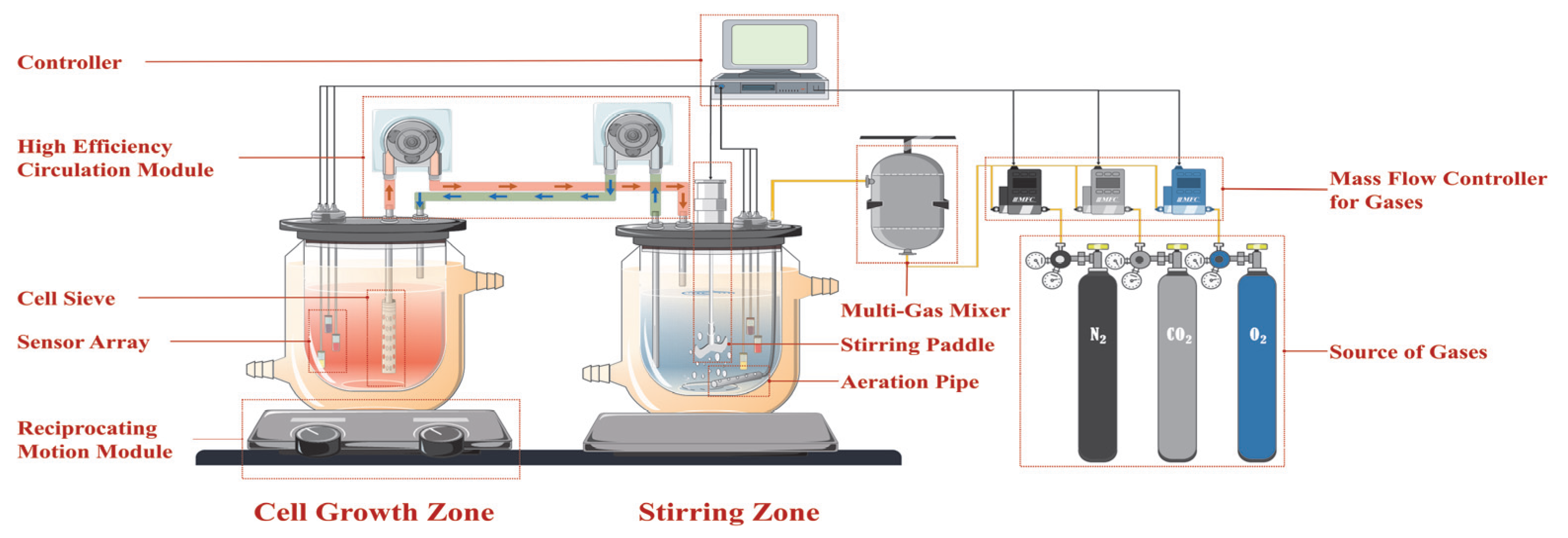 Bioengineering 12 00690 g001