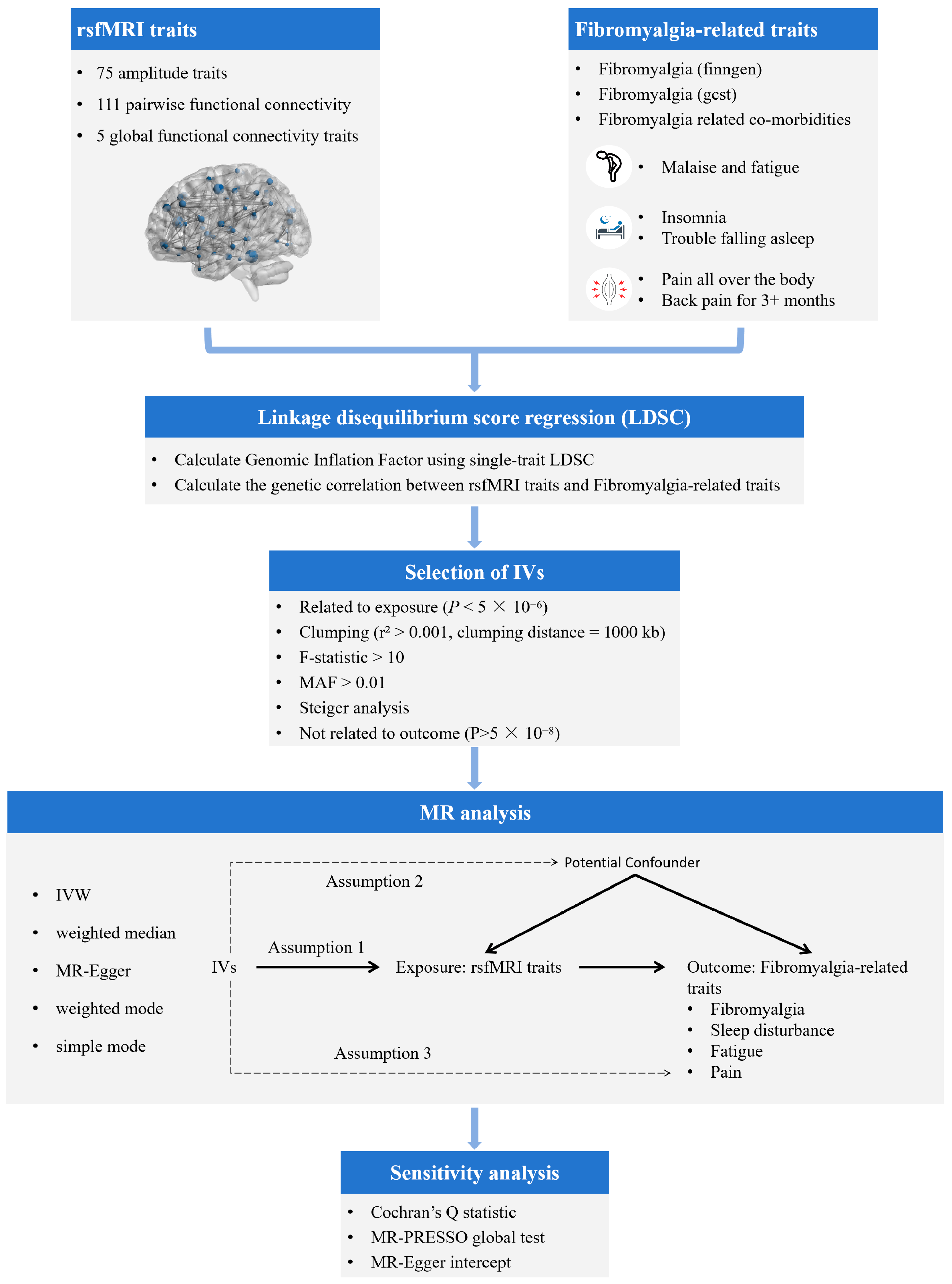 Bioengineering 12 00692 g001