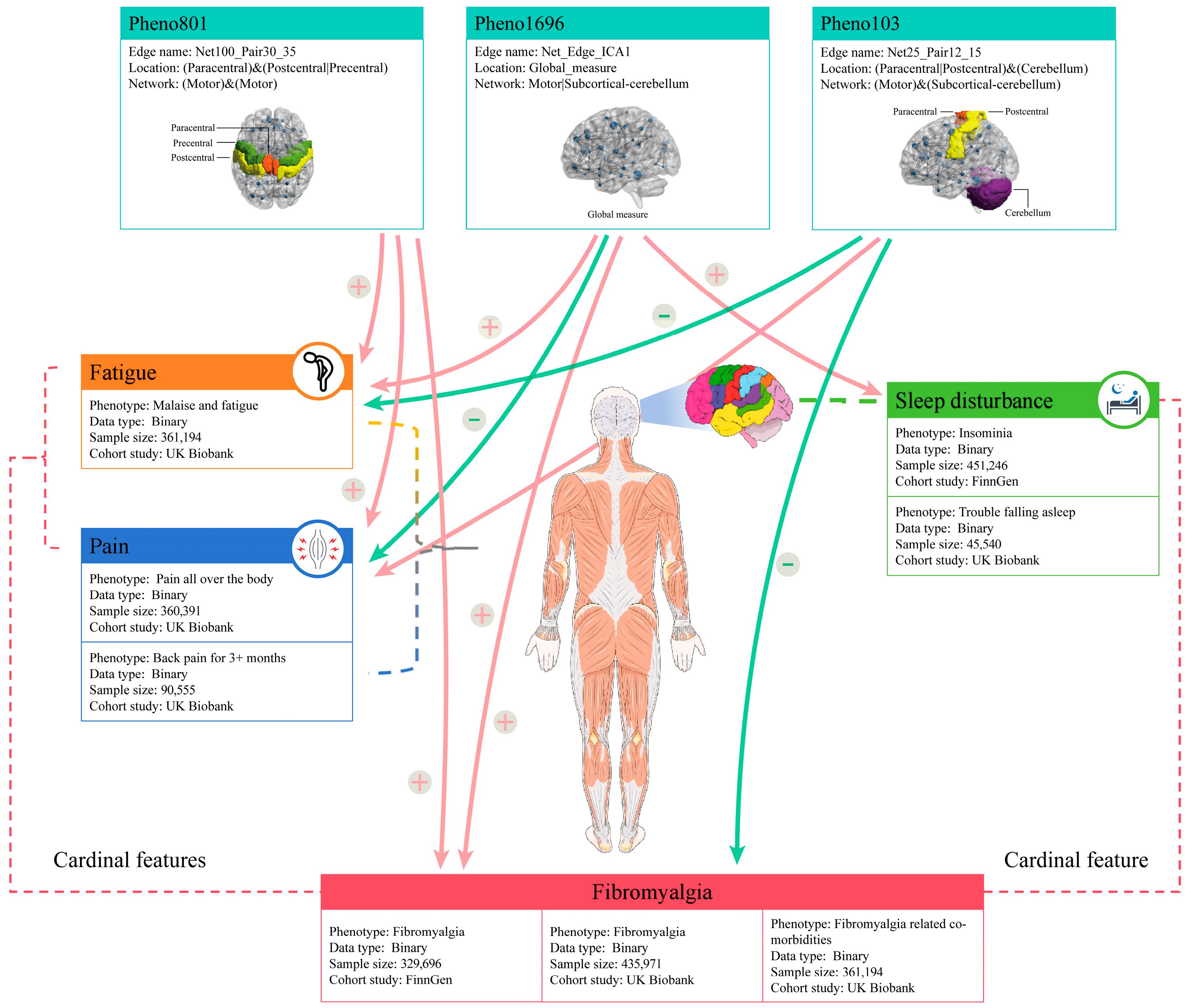 Bioengineering 12 00692 g004