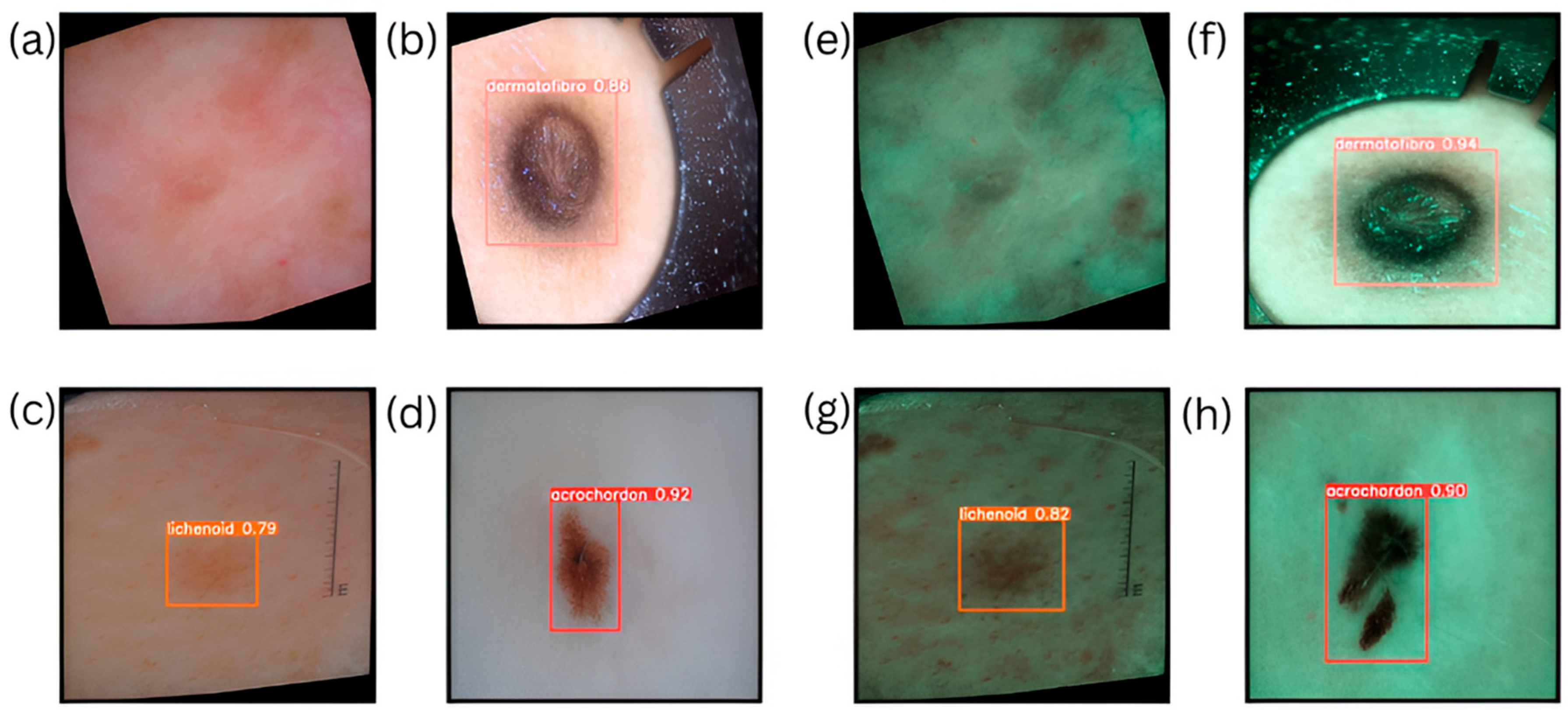 Bioengineering 12 00714 g004
