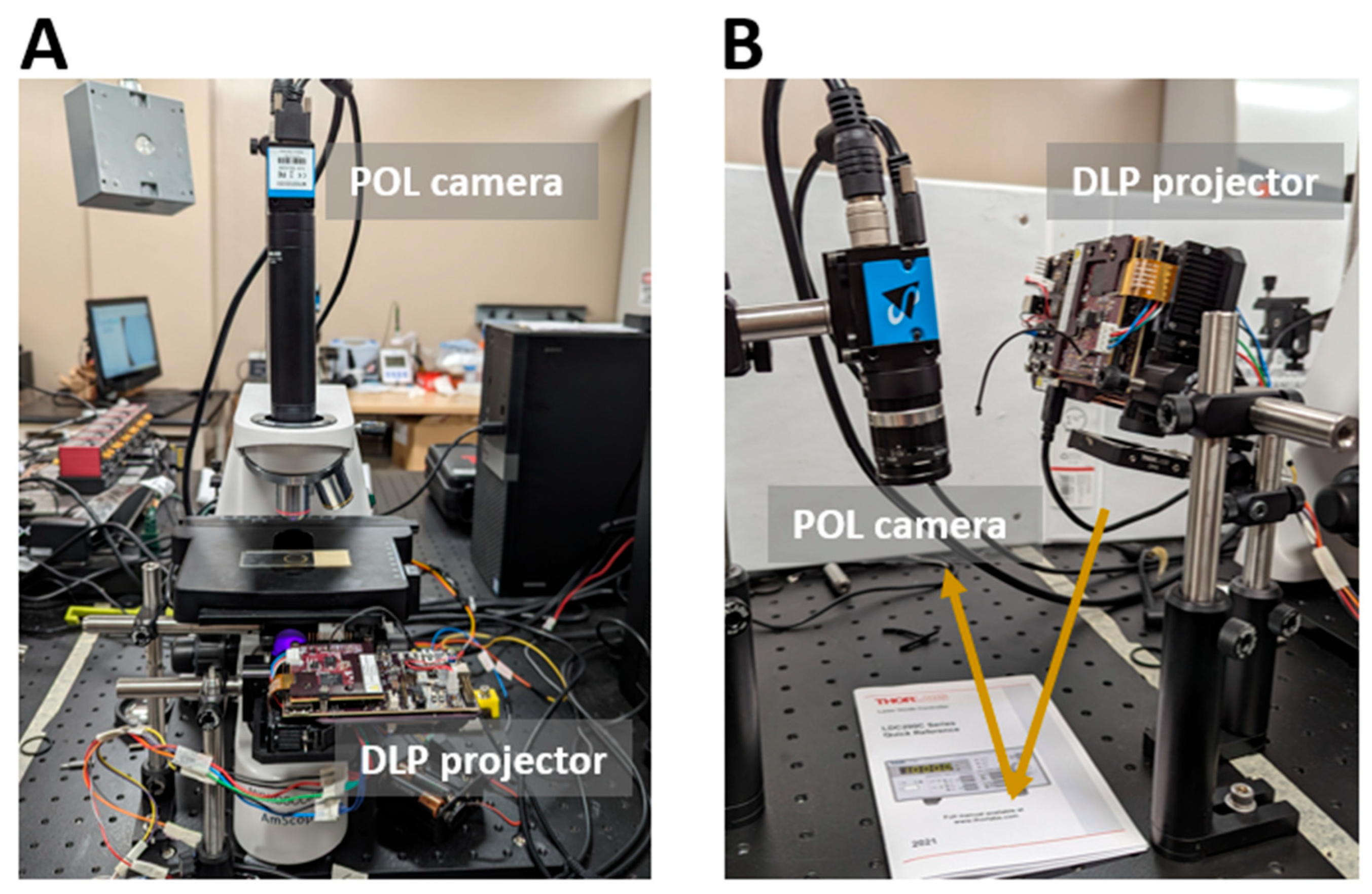 Bioengineering 12 00720 g002