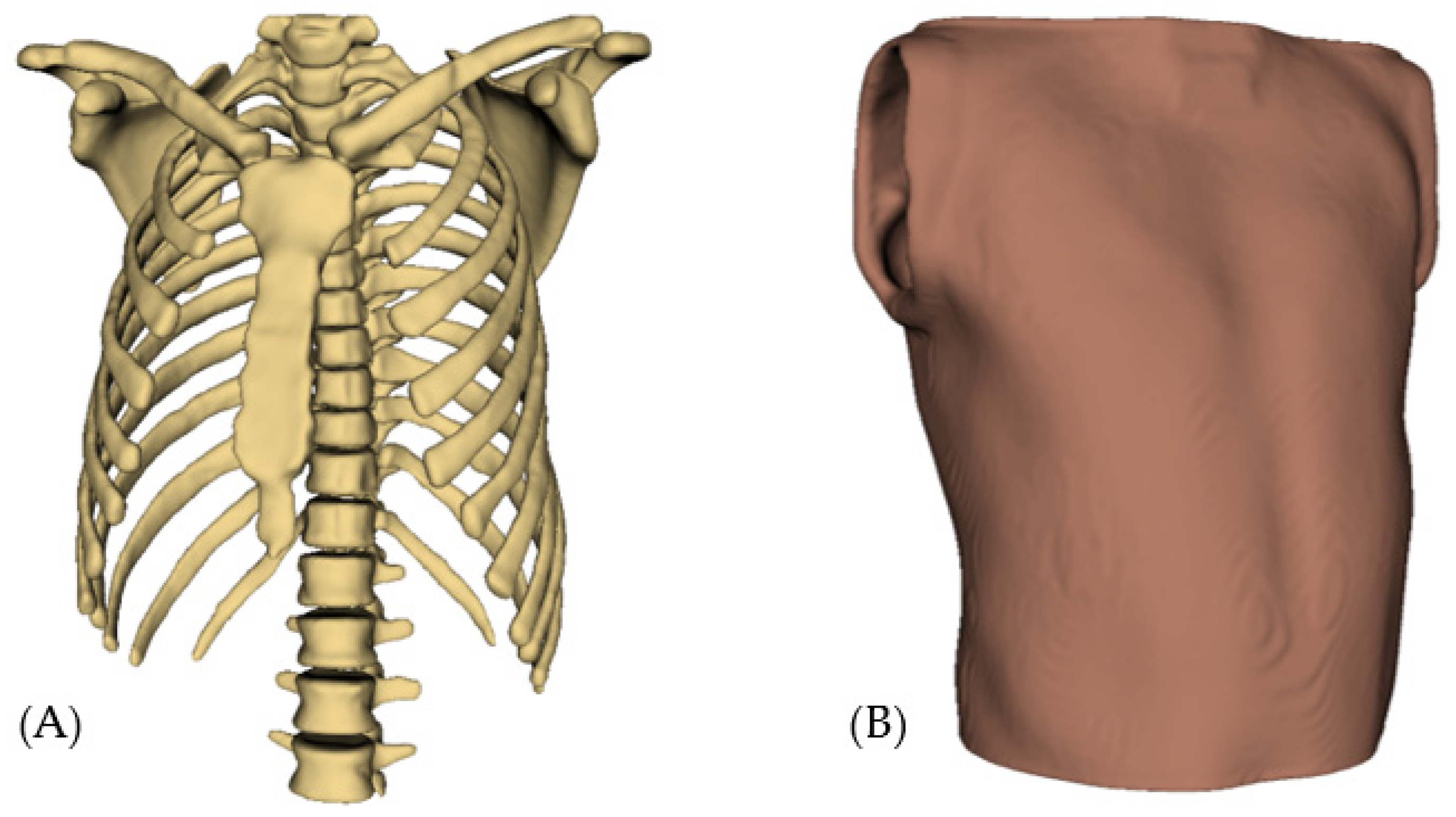 Bioengineering 12 00731 g013
