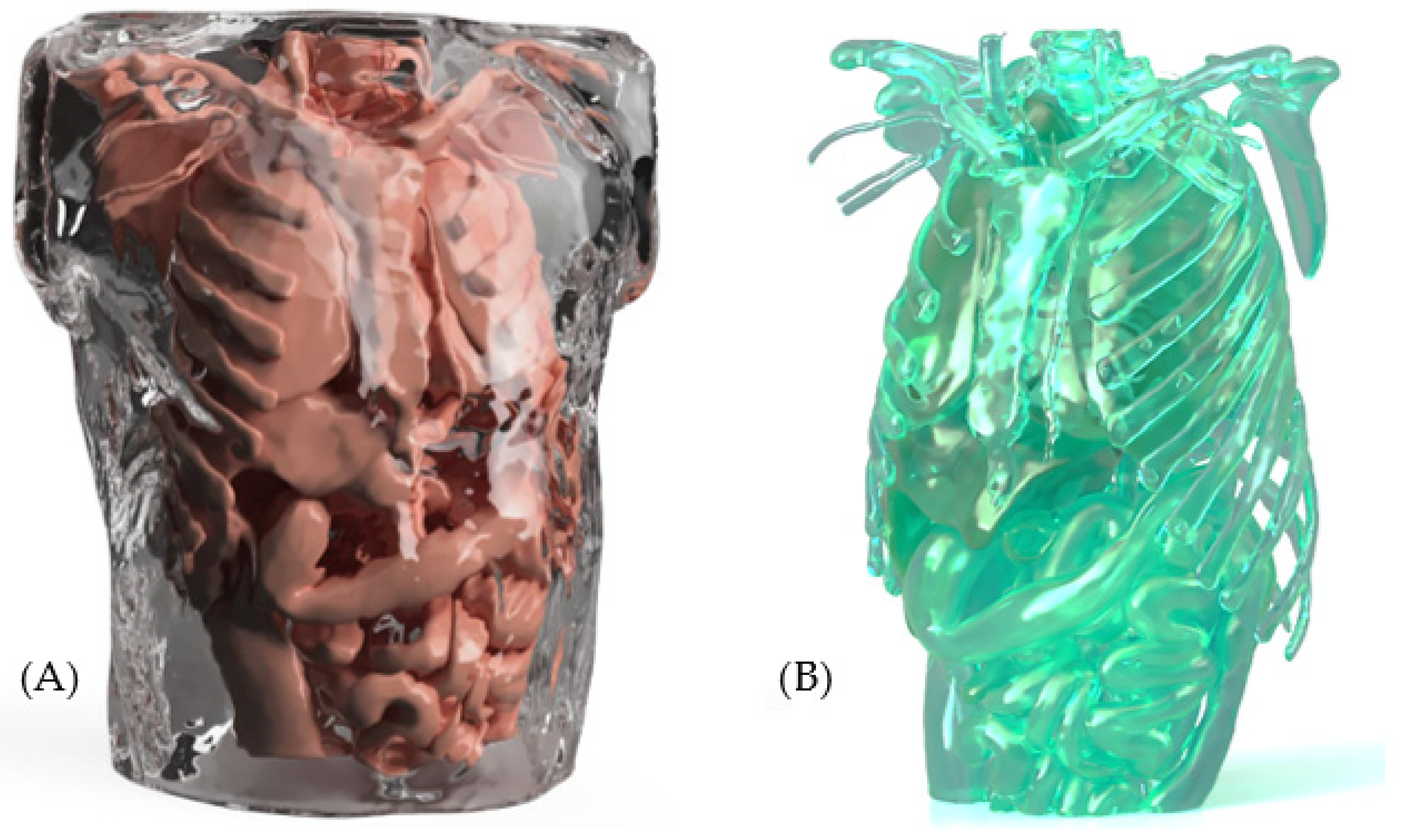Bioengineering 12 00731 g014