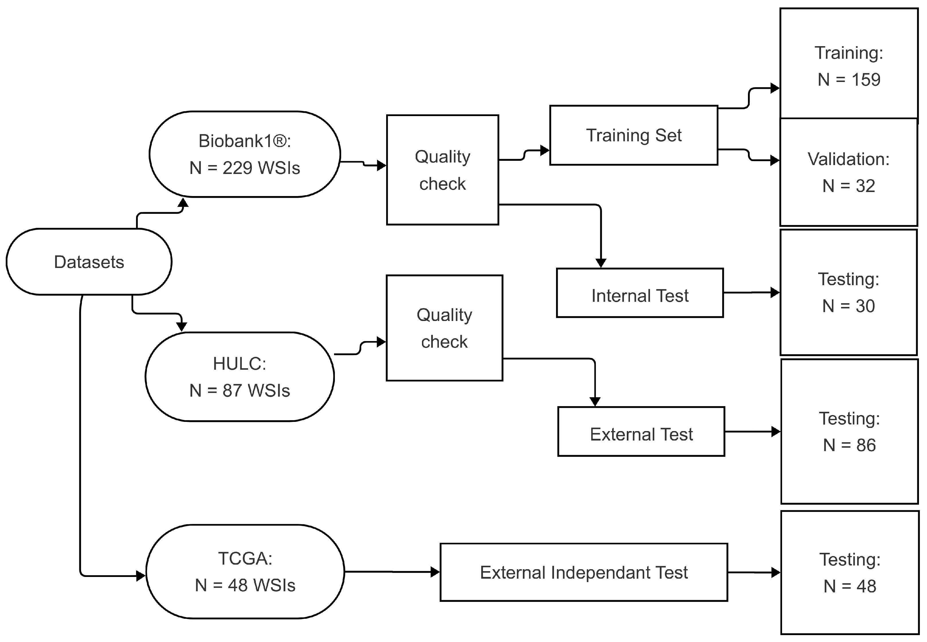 Bioengineering 12 00733 g001