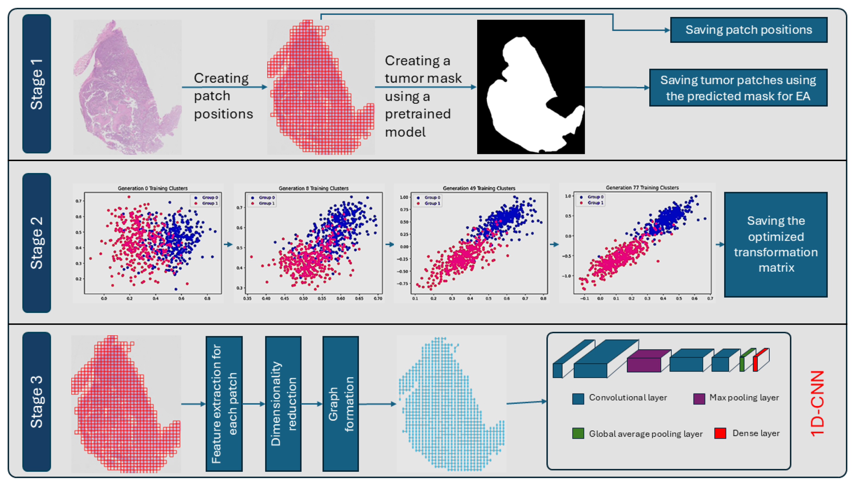Bioengineering 12 00733 g002