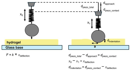 Bioengineering 12 00759 g0a2