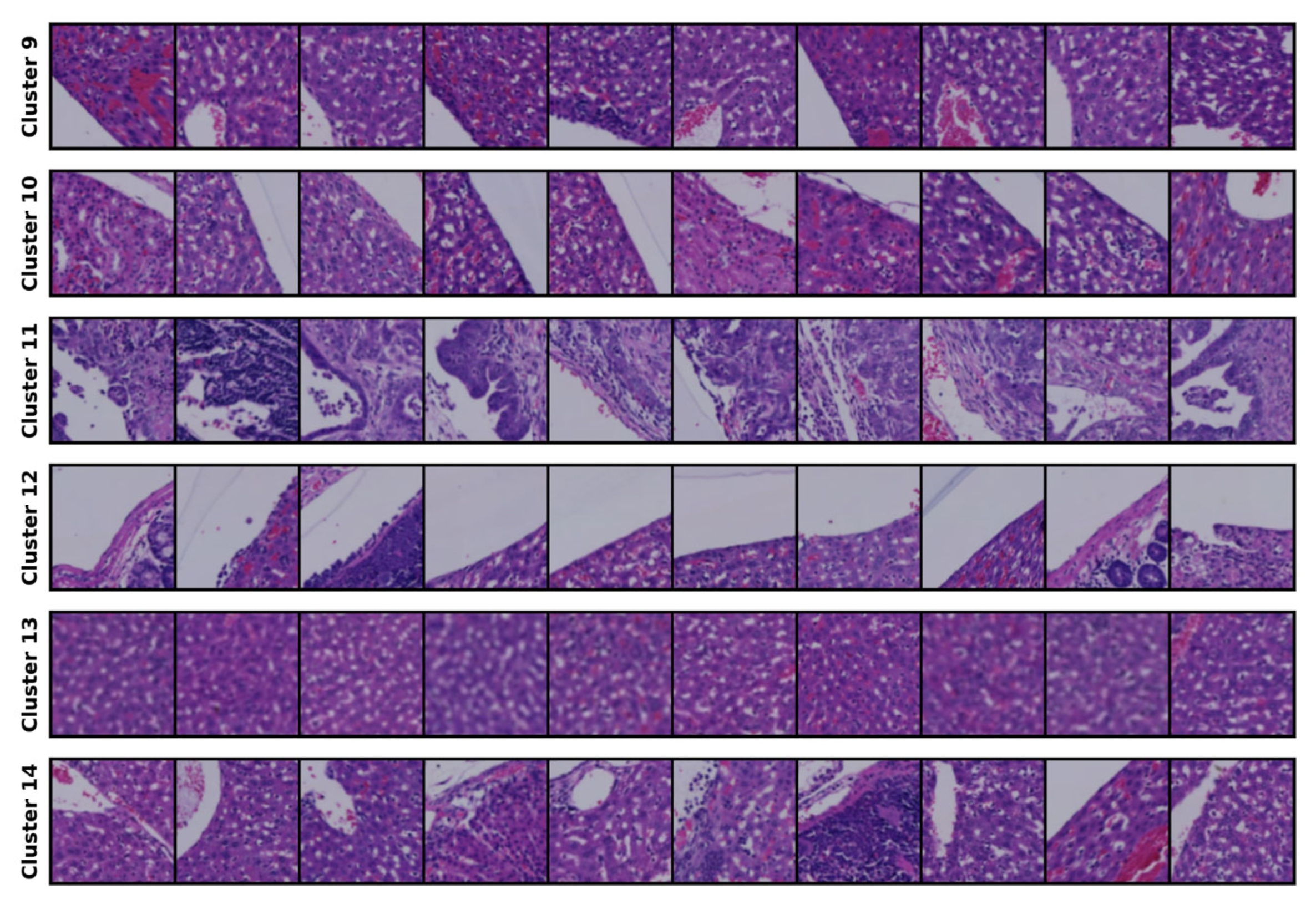 Bioengineering 12 00764 g002b