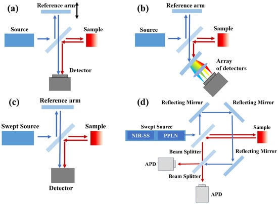 Bioengineering 12 00770 g001