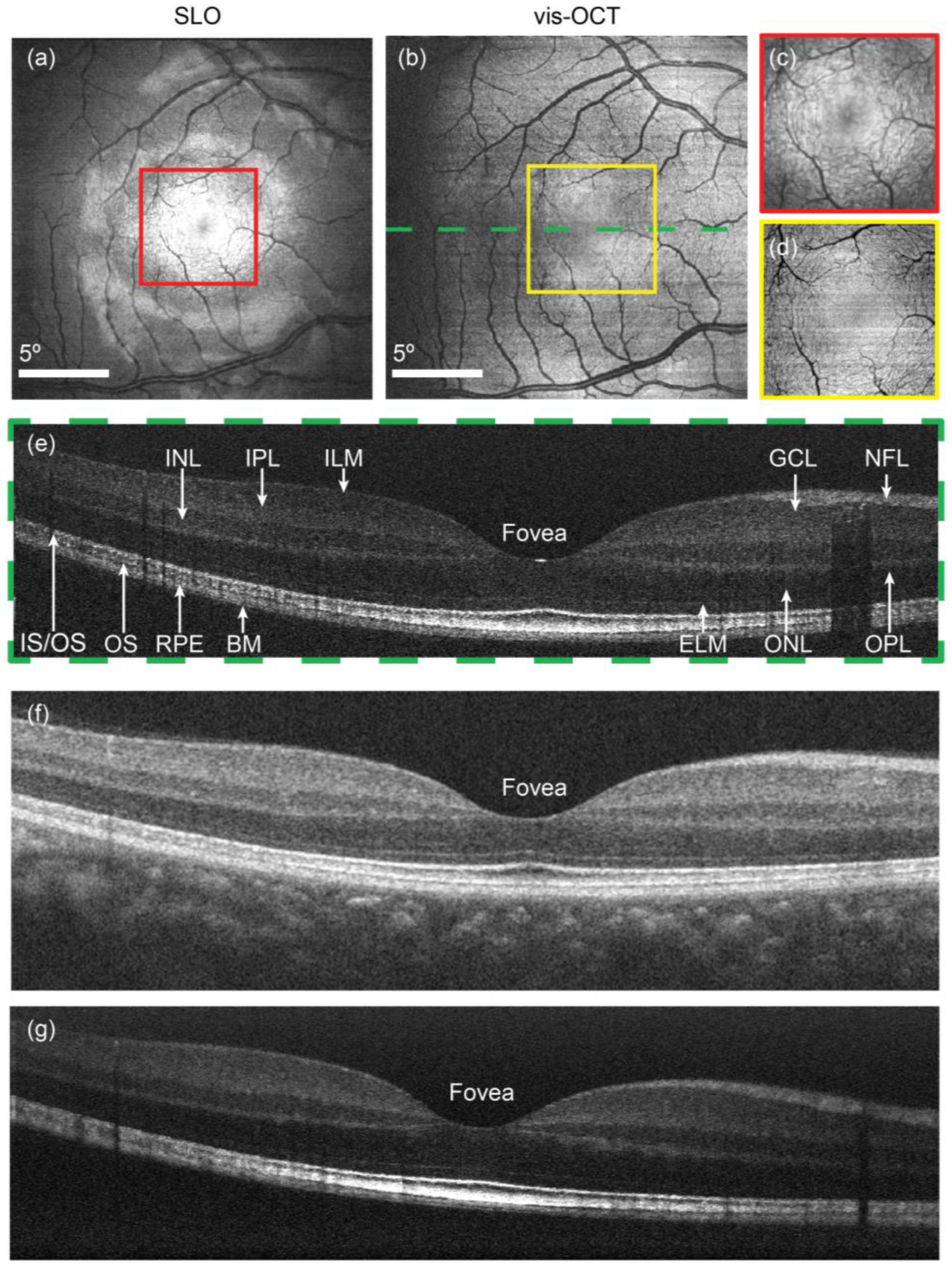Bioengineering 12 00770 g002