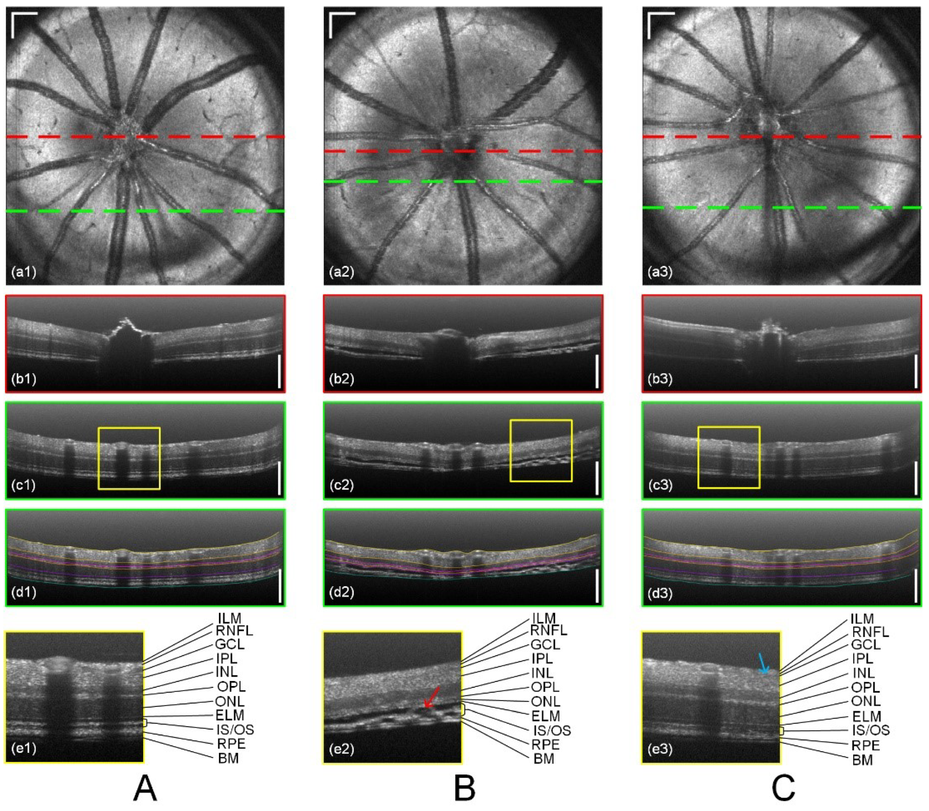 Bioengineering 12 00770 g005