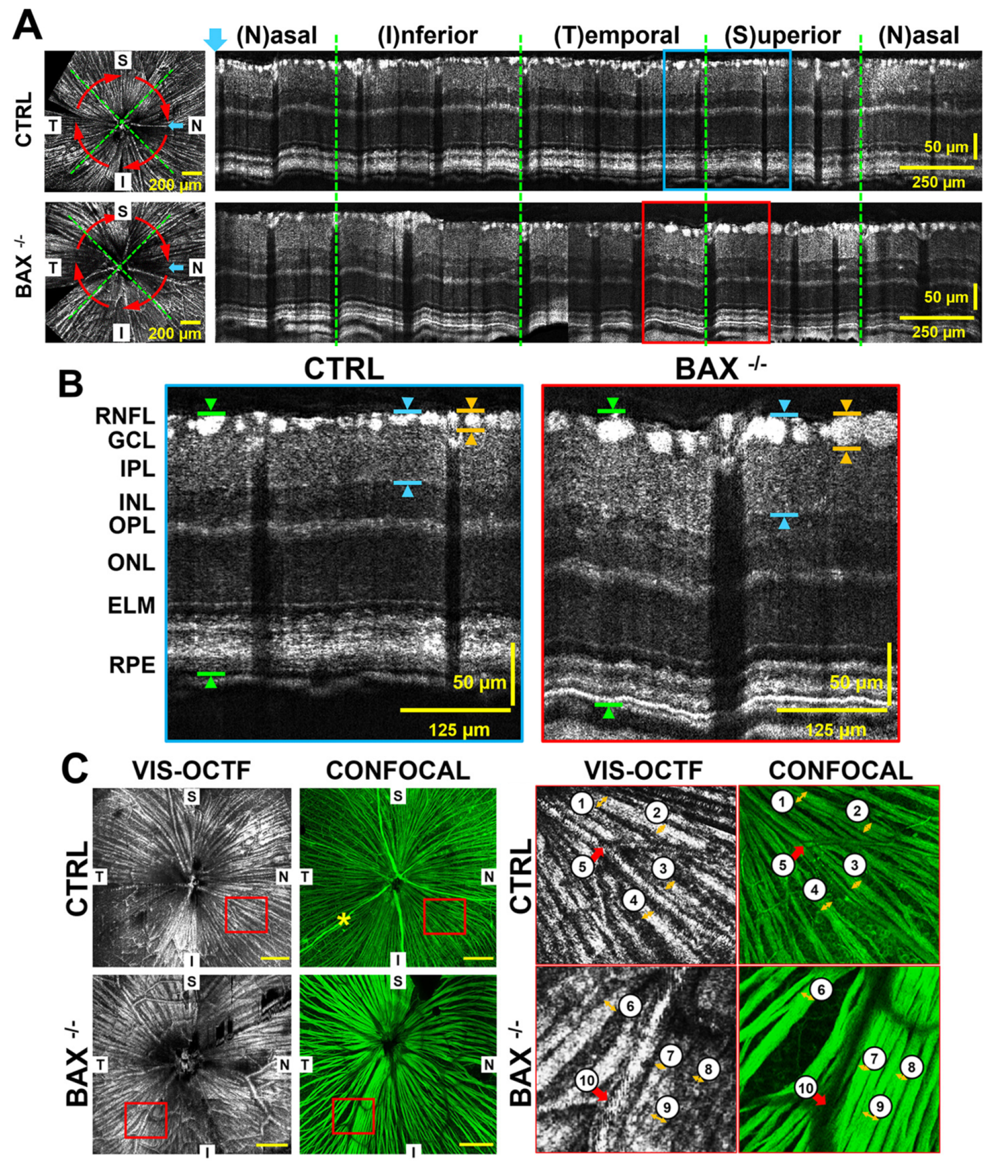 Bioengineering 12 00770 g006
