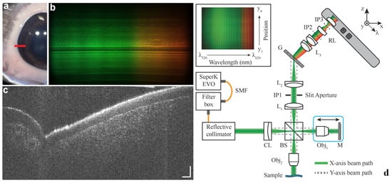 Bioengineering 12 00770 g009
