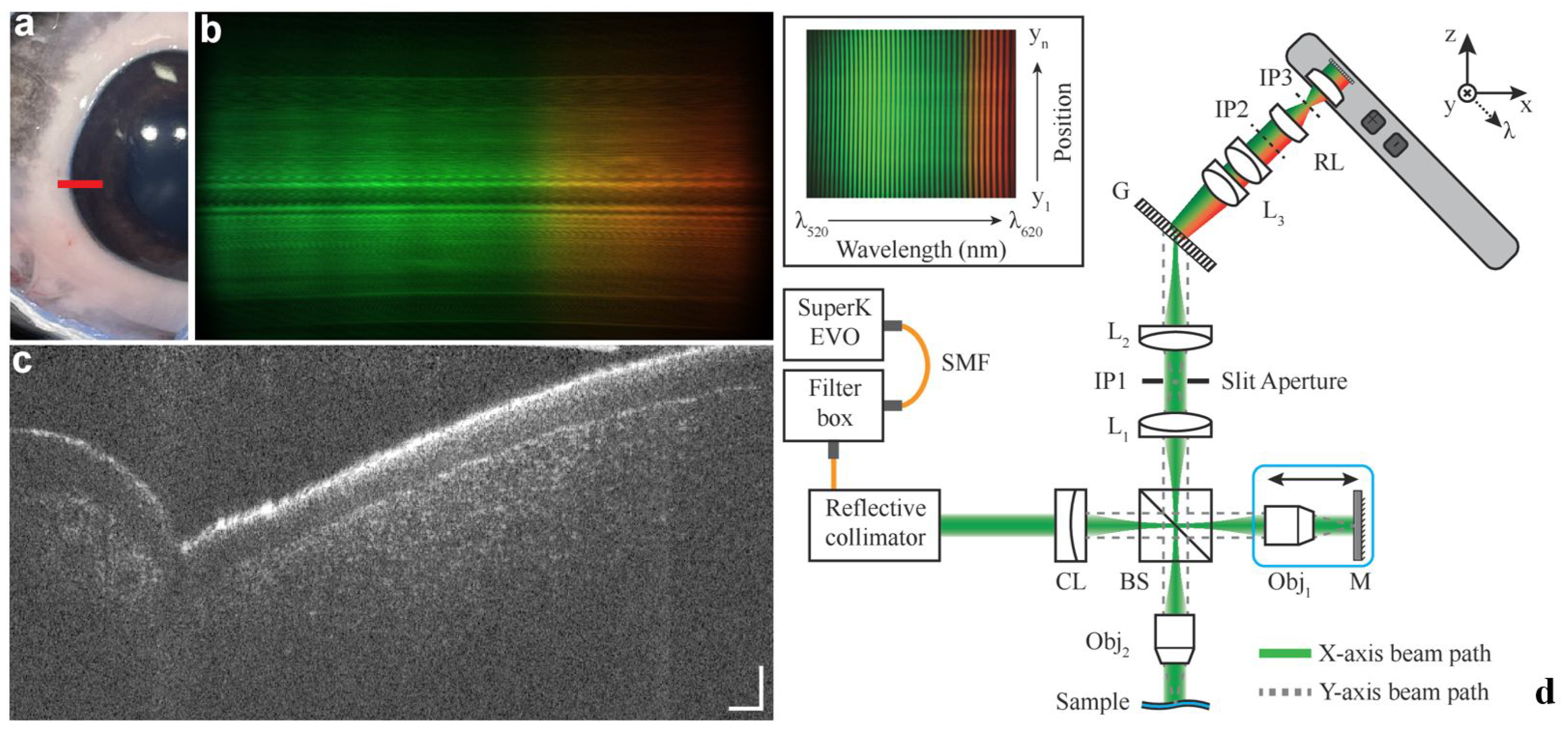 Bioengineering 12 00770 g009