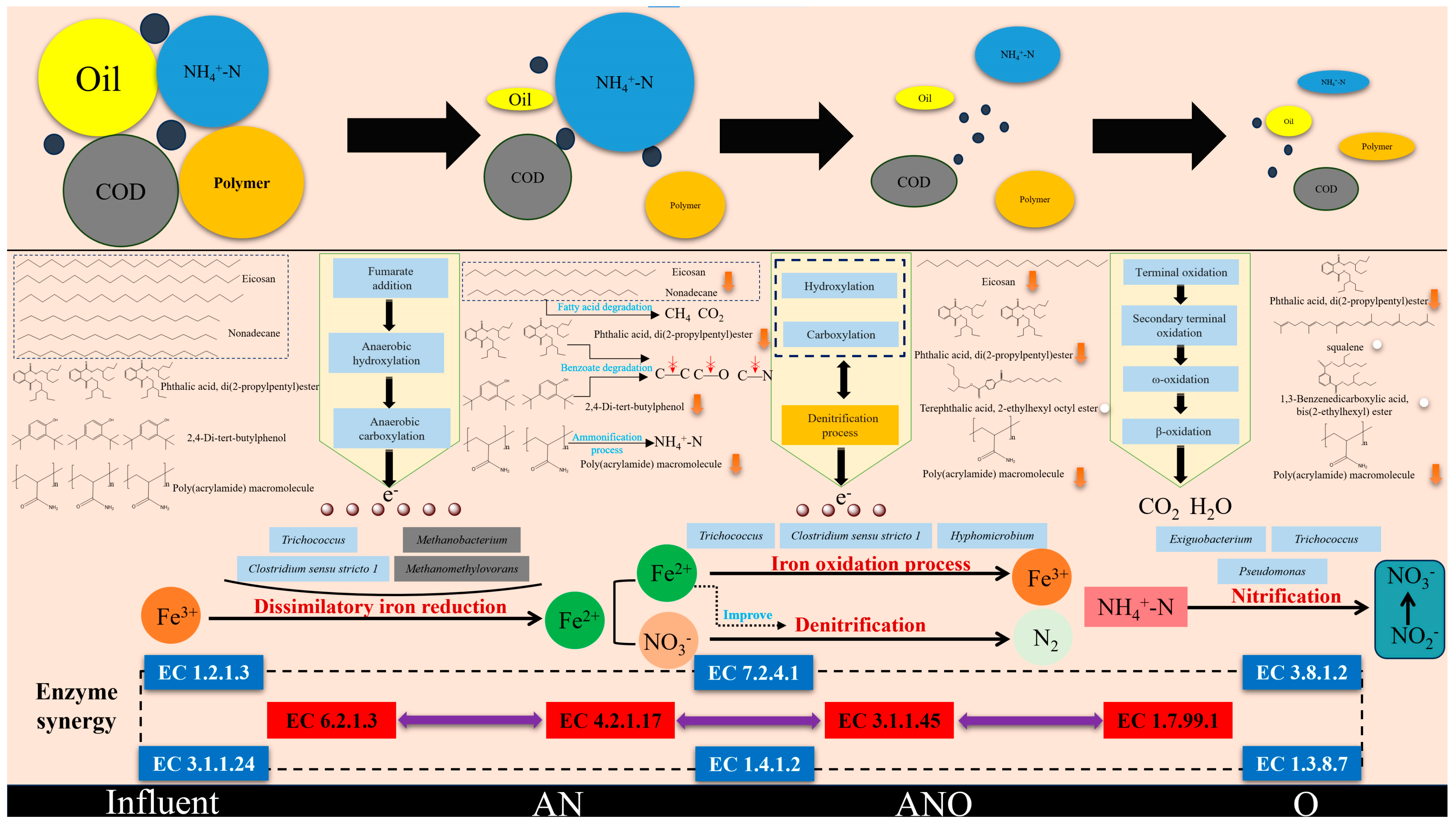 Bioengineering 12 00784 g008
