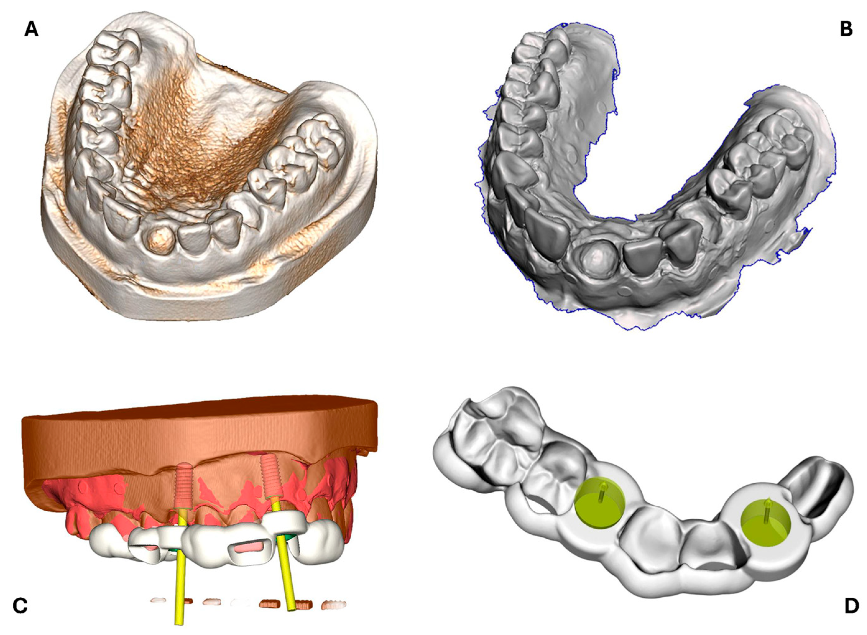 Bioengineering 12 00799 g002