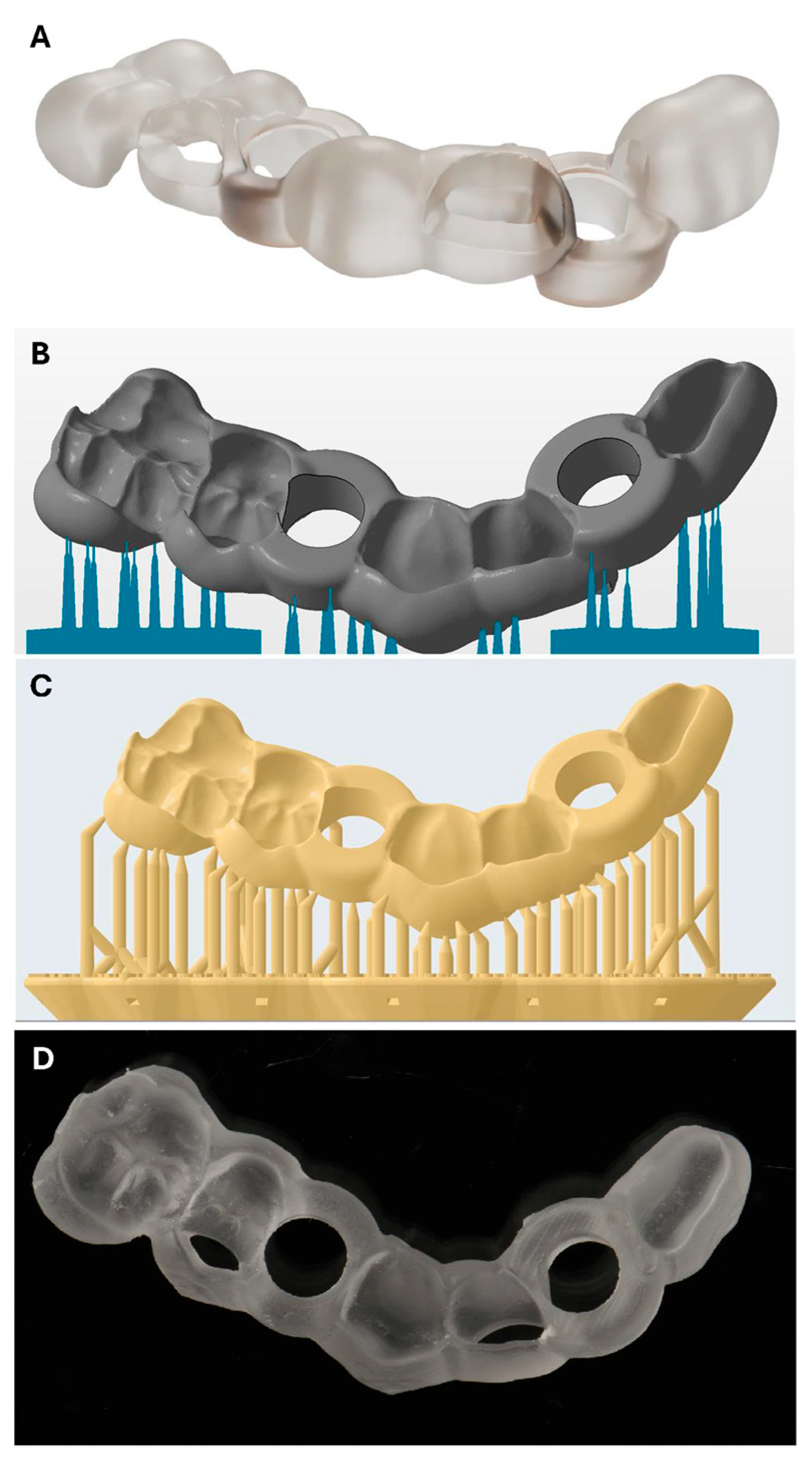 Bioengineering 12 00799 g003