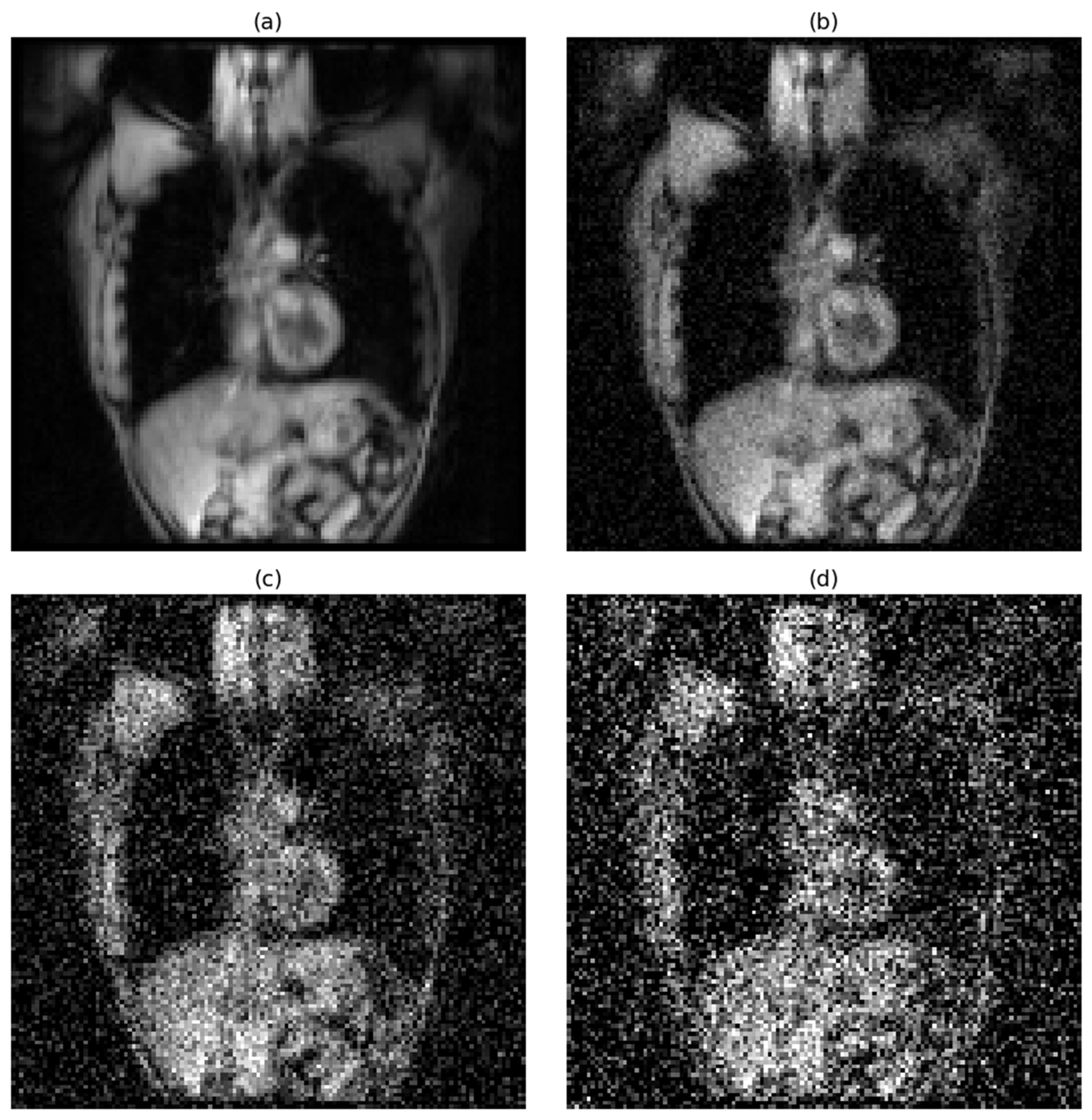 Bioengineering 12 00808 g002