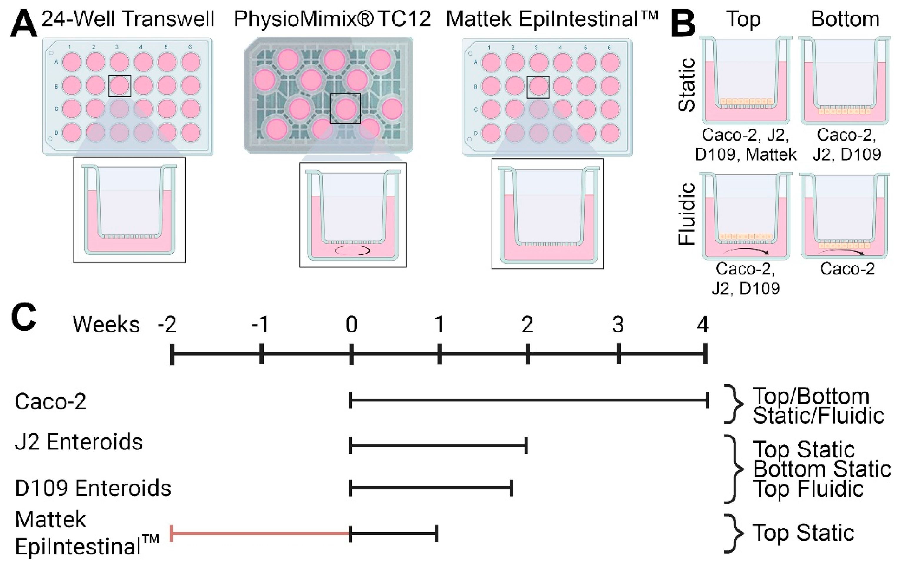 Bioengineering 12 00809 g001