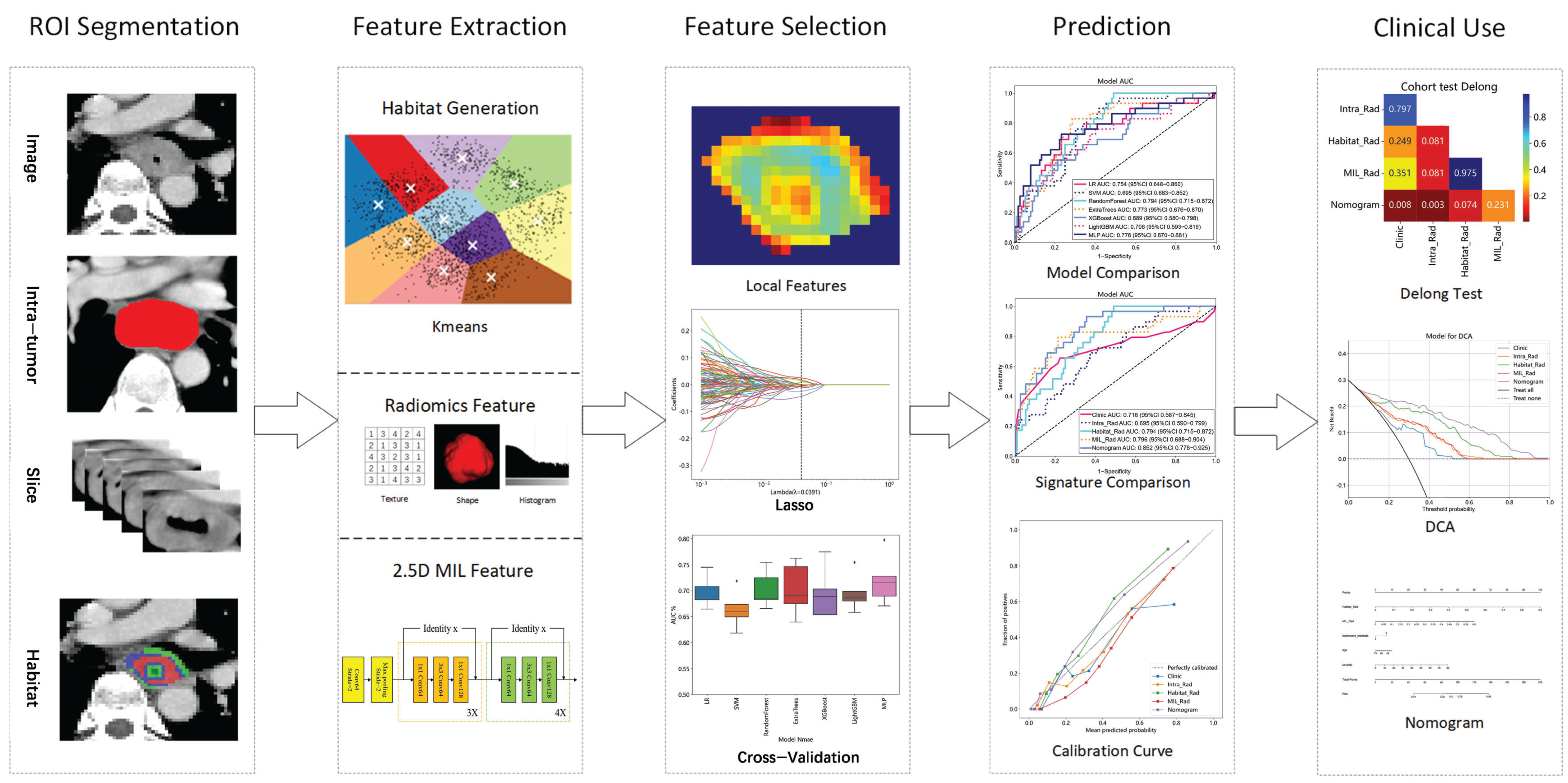 Bioengineering 12 00813 g001