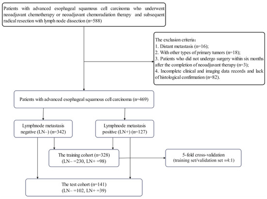 Bioengineering 12 00813 g0a1