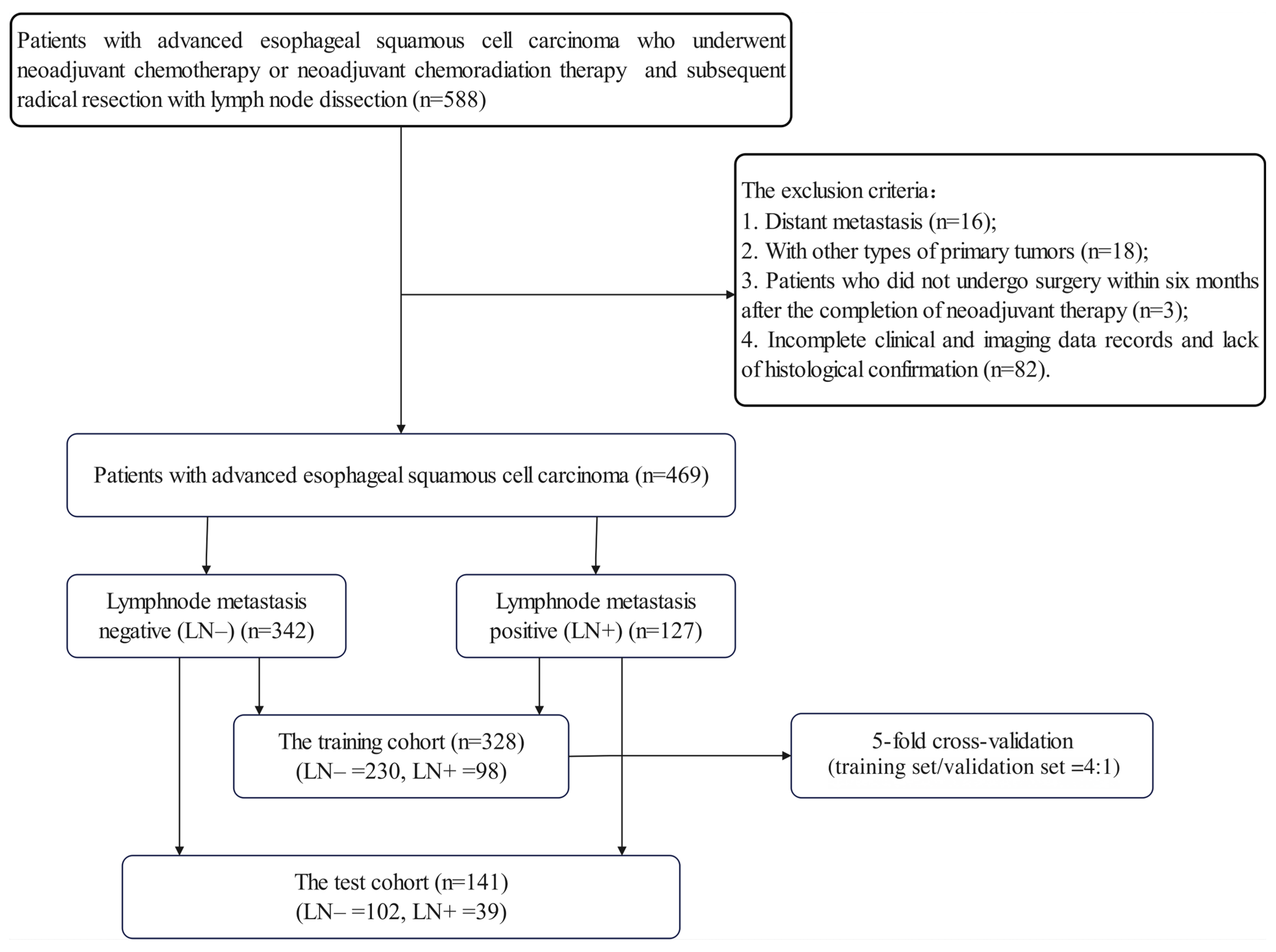 Bioengineering 12 00813 g0a1