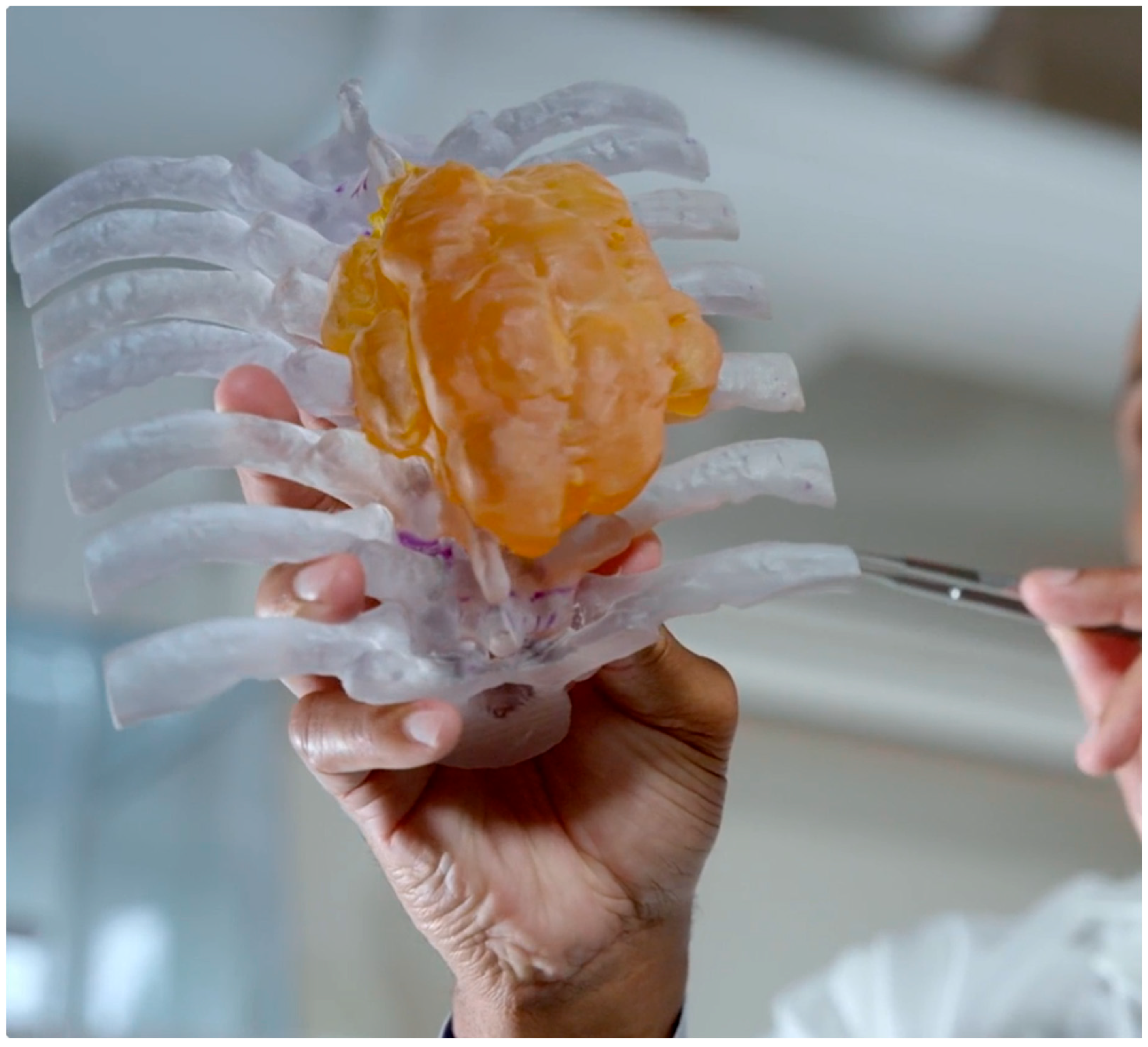 Bioengineering 12 00821 g001